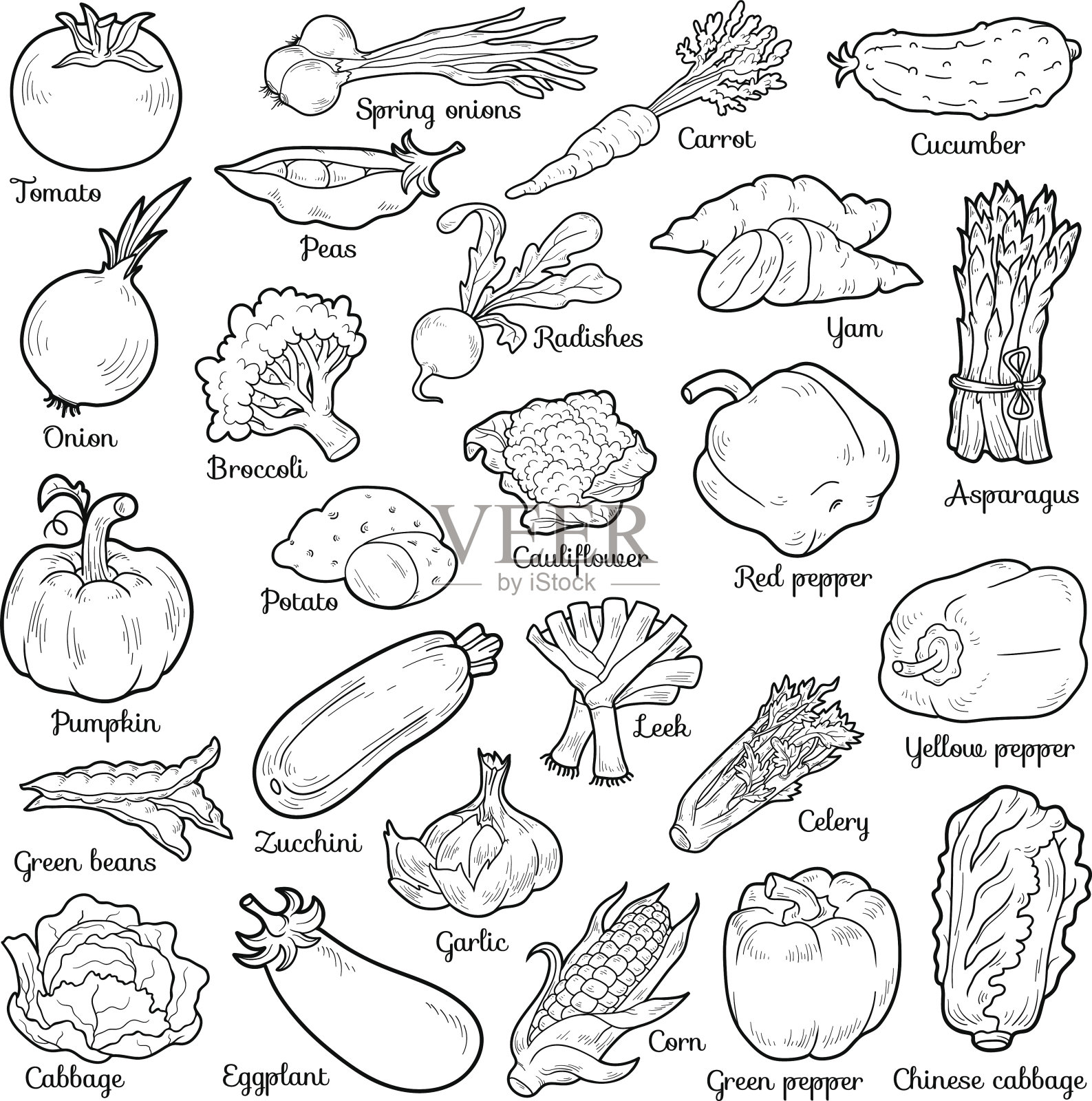 无色蔬菜套装，矢量卡通贴纸插画图片素材