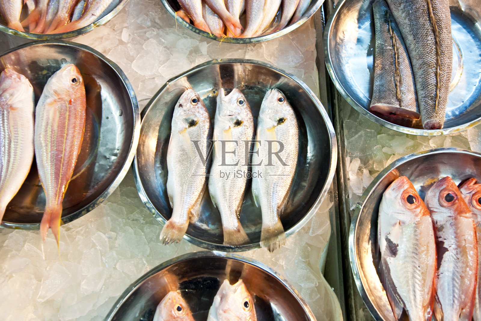 亚洲的鱼市上供应全新鲜的鱼照片摄影图片