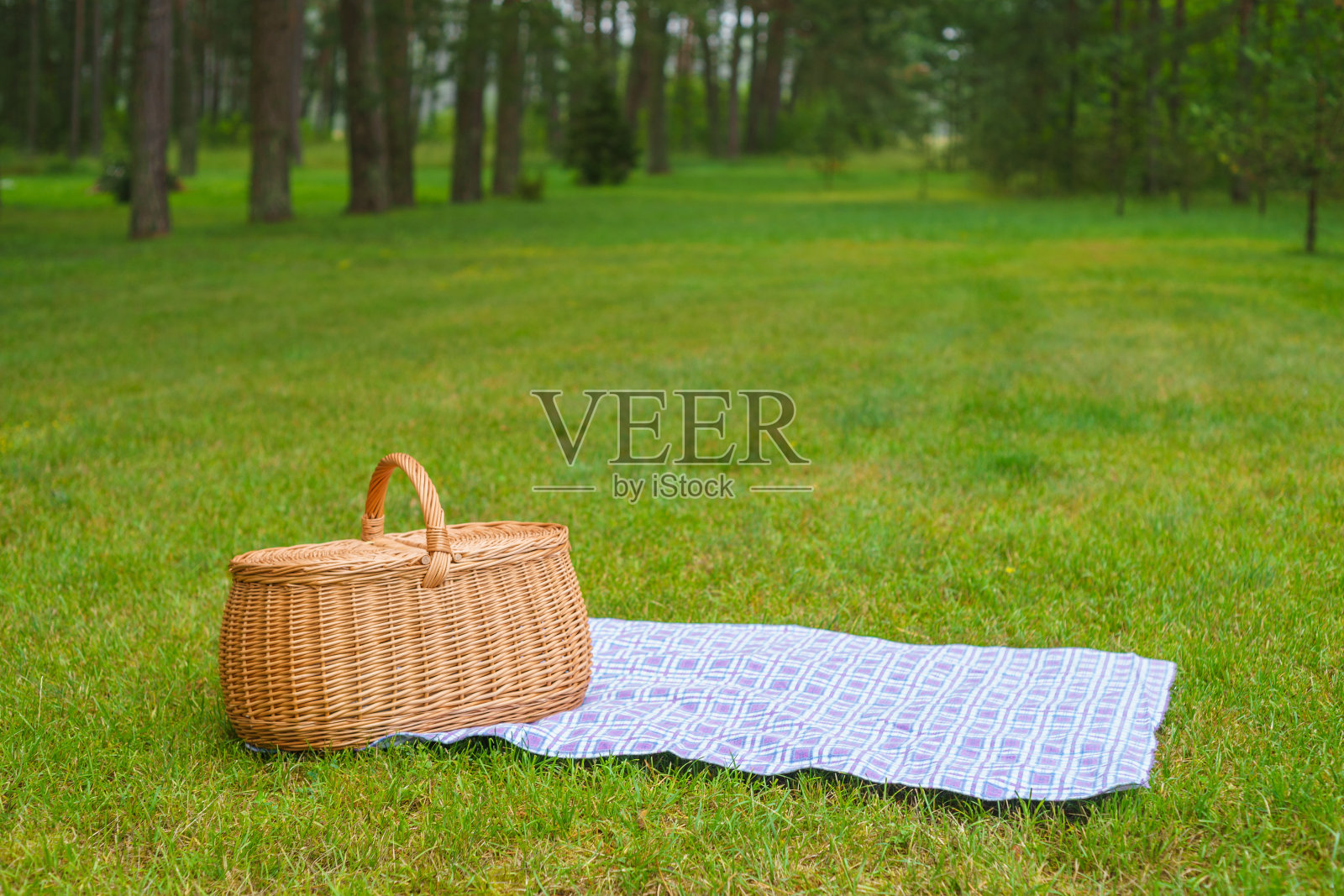 草地上有蓝白格子餐巾的野餐篮照片摄影图片