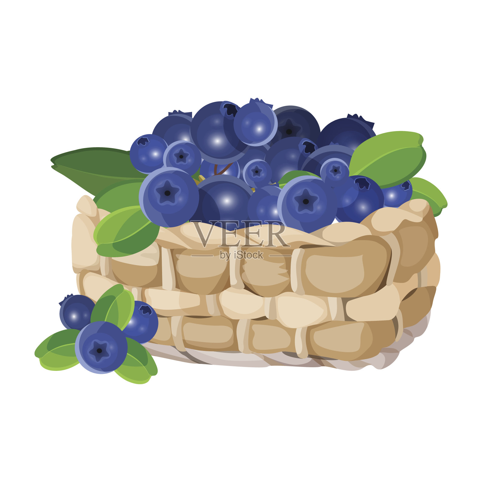 柳条篮子与蓝莓现实向量插图孤立在白色。设计元素图片
