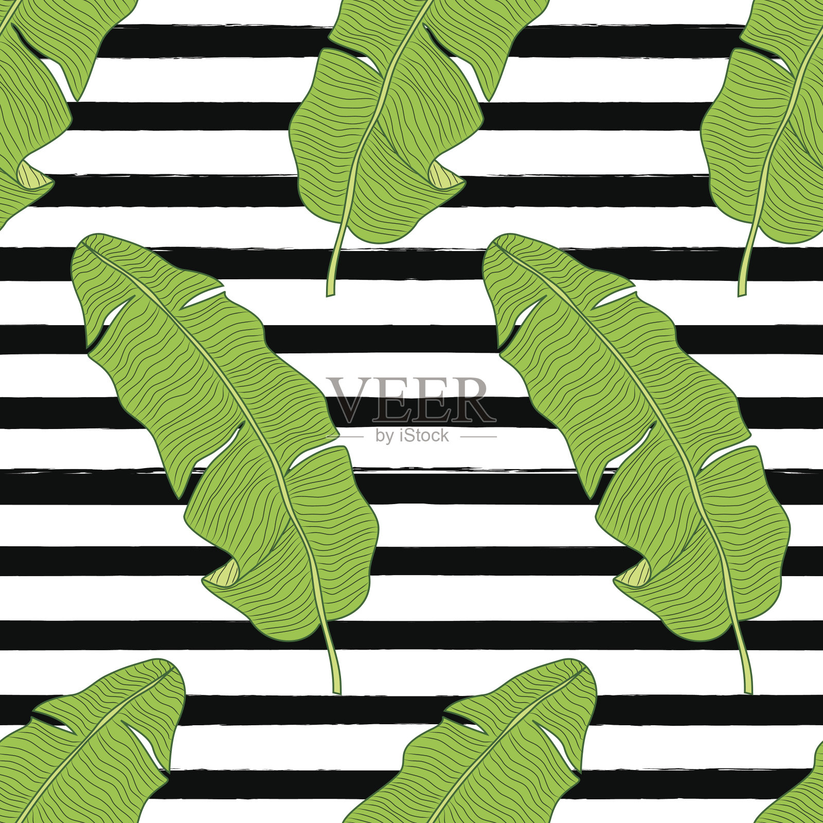 美丽的绿色植物无缝模式与热带树叶如香蕉棕榈树的叶子条纹背景插画图片素材