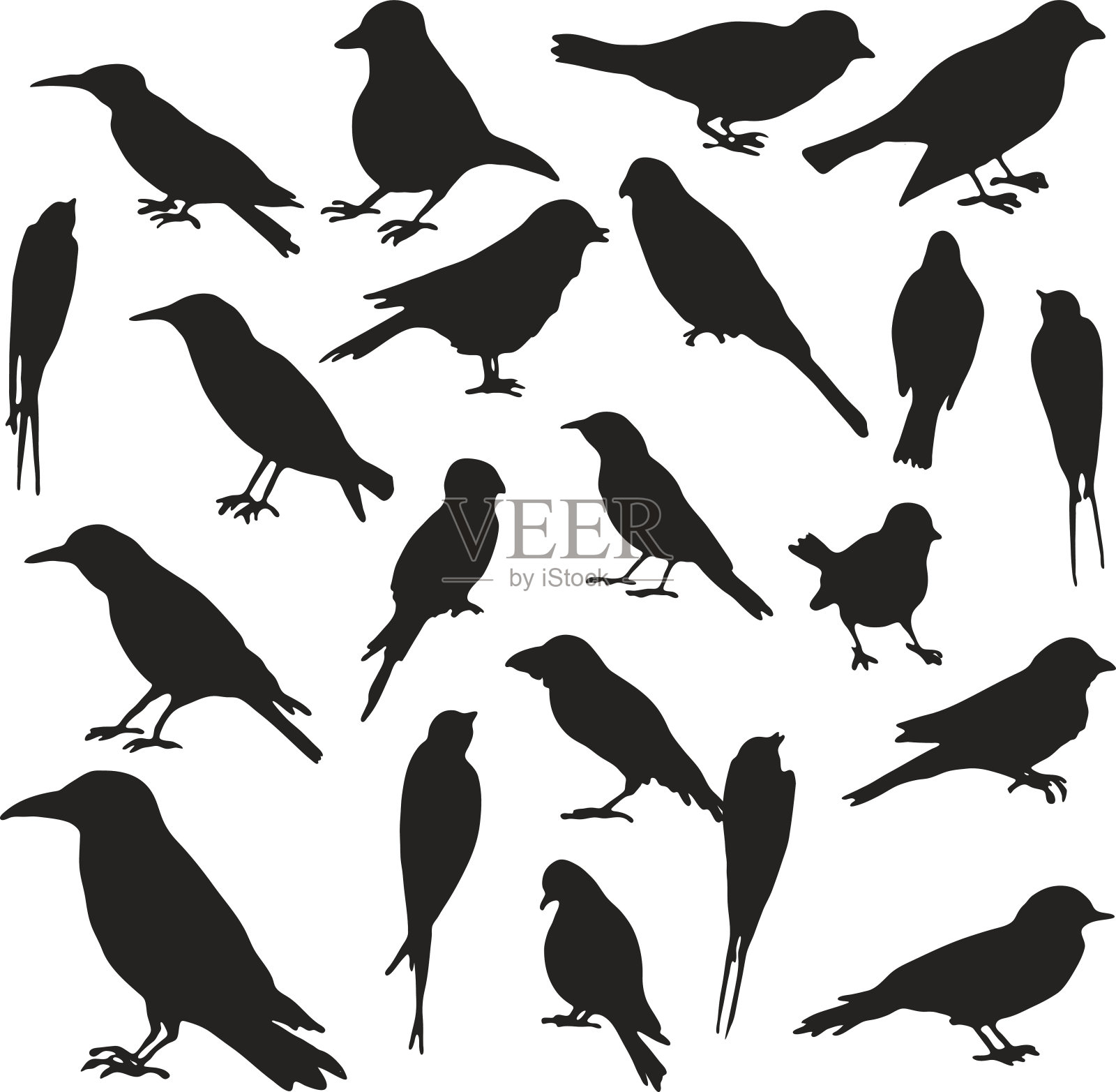 矢量集的鸟类剪影设计元素图片
