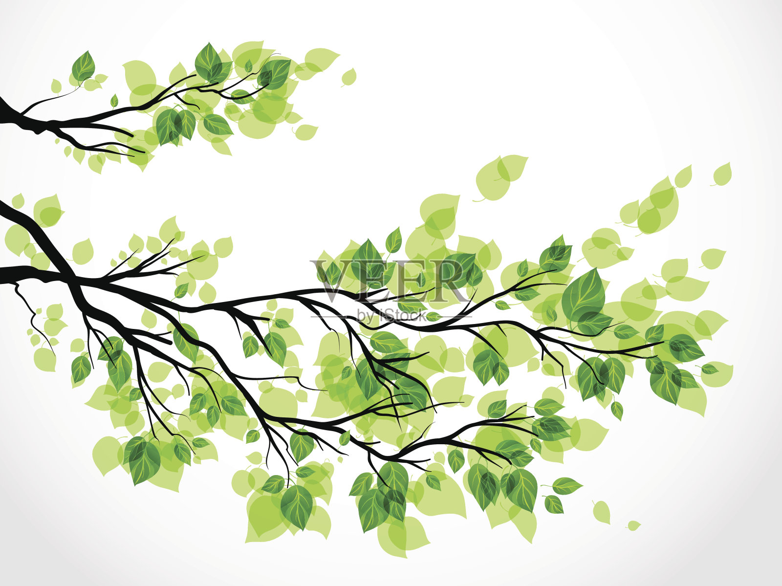 一个带有绿叶的树枝的插图设计元素图片