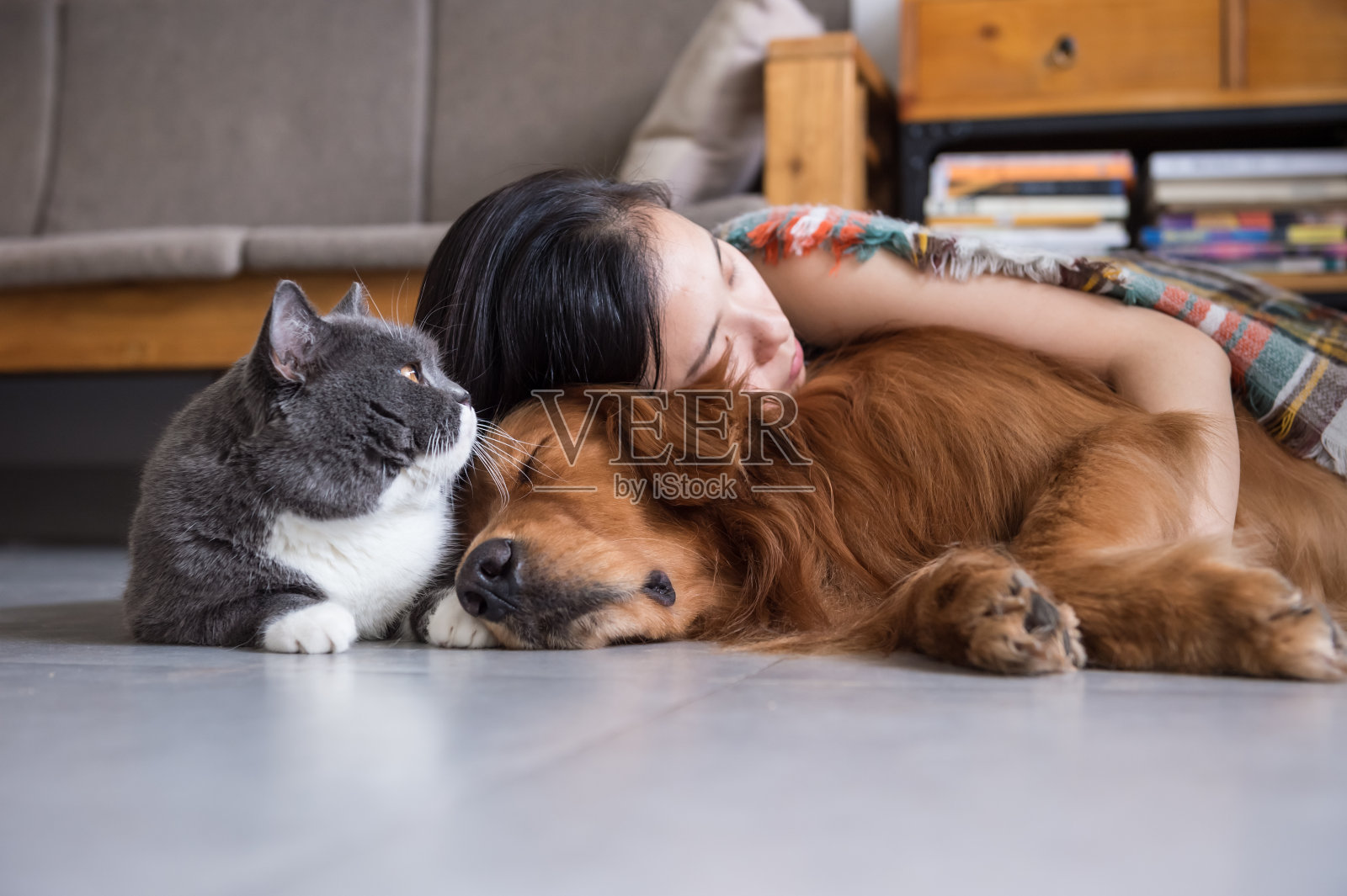 女孩和猫狗睡在一起照片摄影图片
