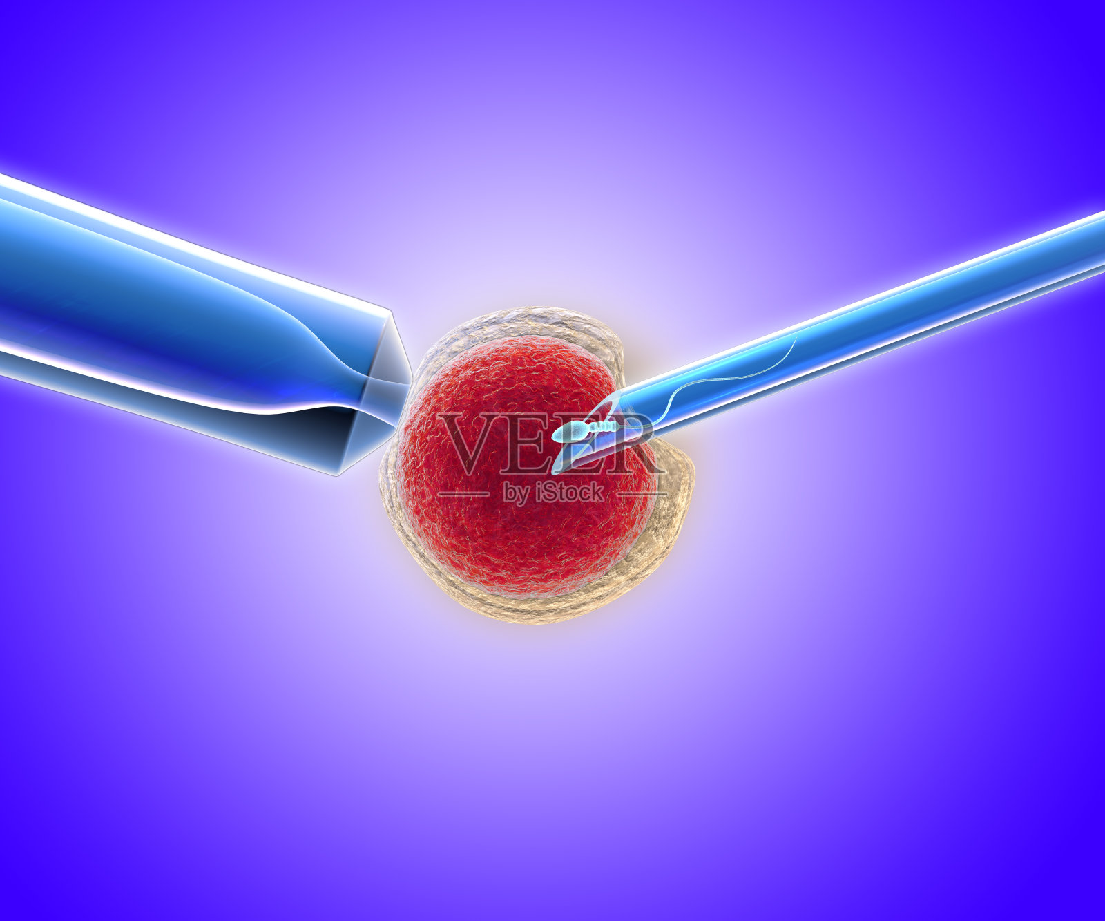 icsi(胞浆内精子注射)过程的3D渲染——将单个精子直接注射到卵子中照片摄影图片