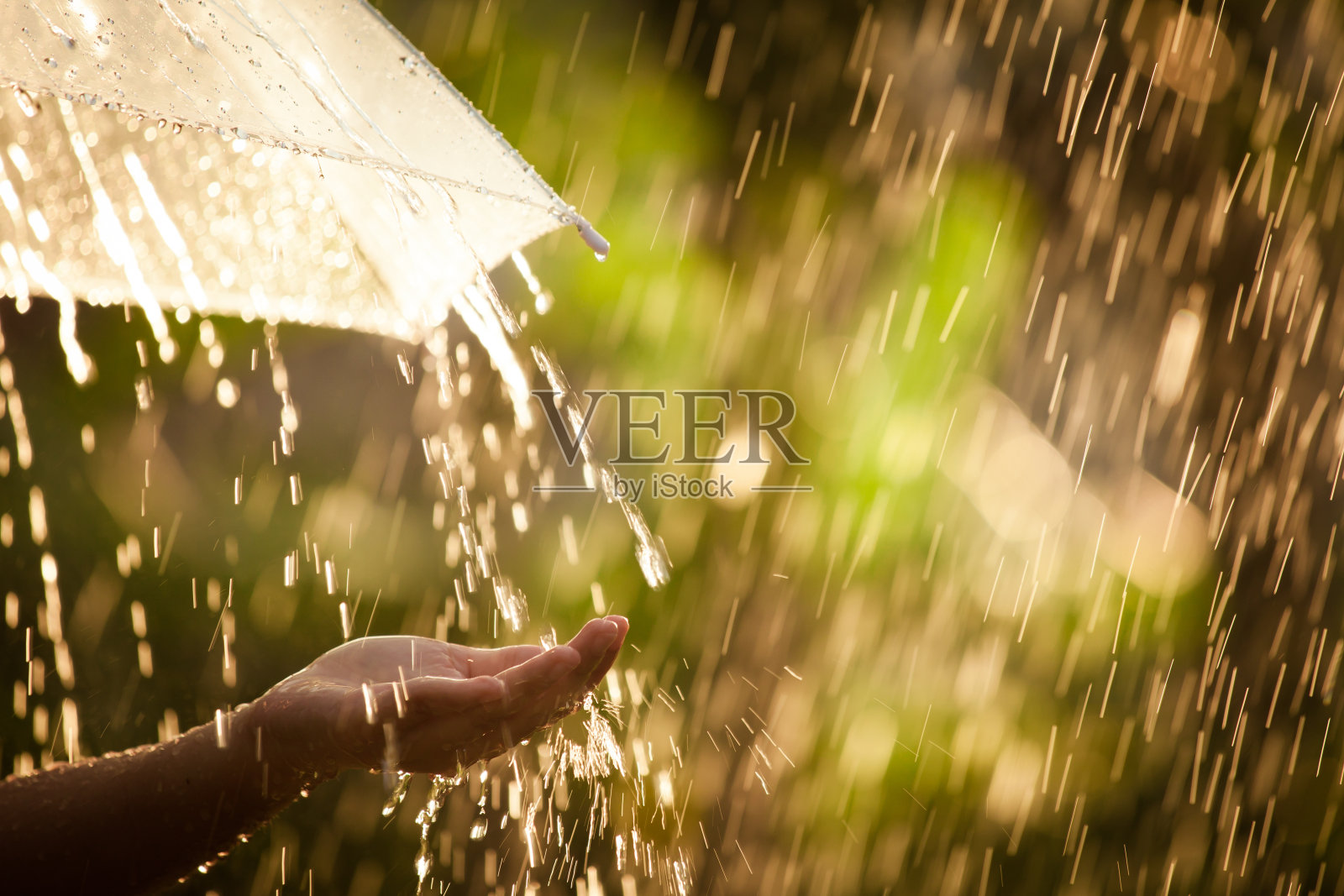 女人手拿伞在雨中照片摄影图片