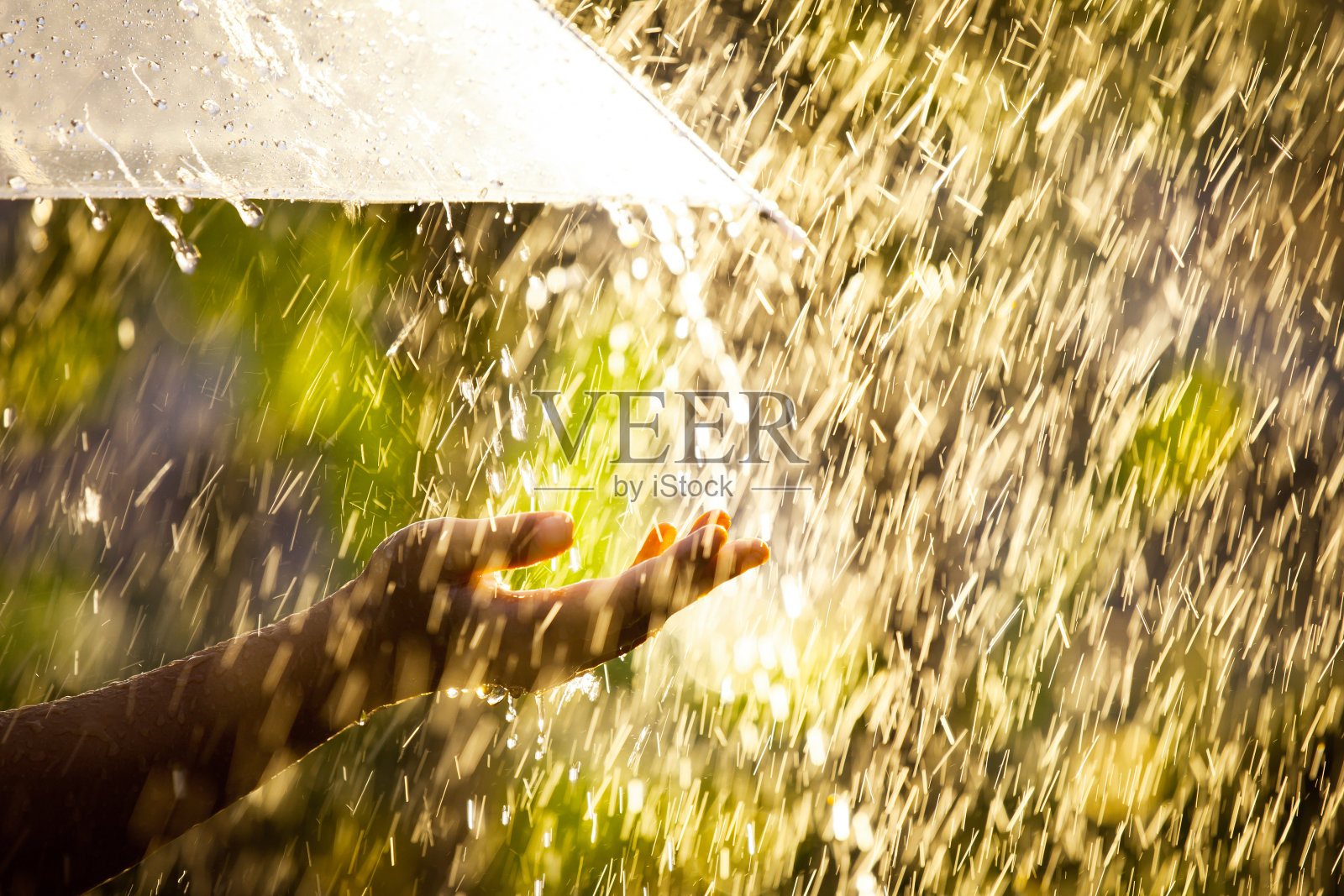女人手拿伞在雨中照片摄影图片