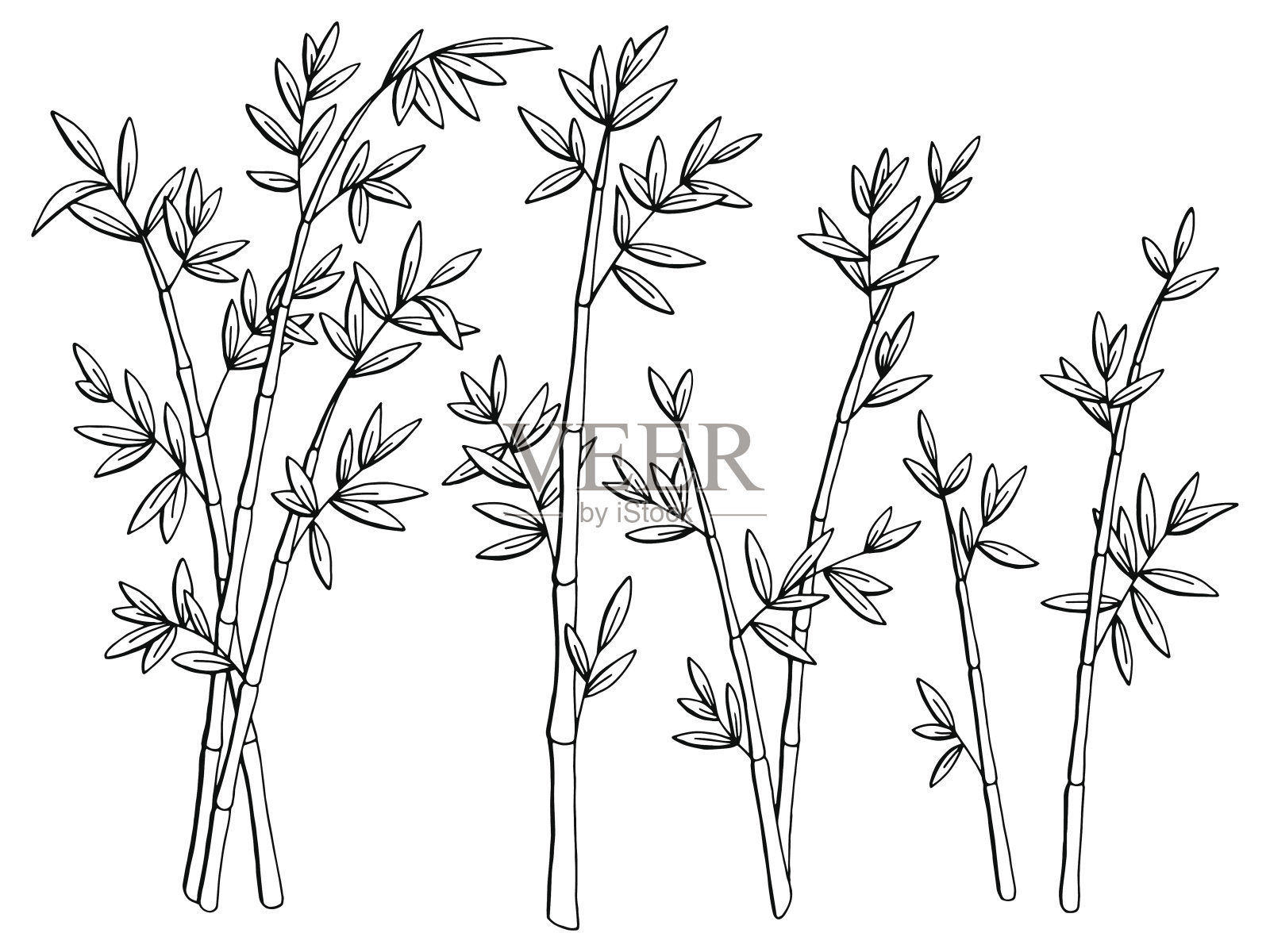 竹植物图形黑白孤立素描插图矢量插画图片素材