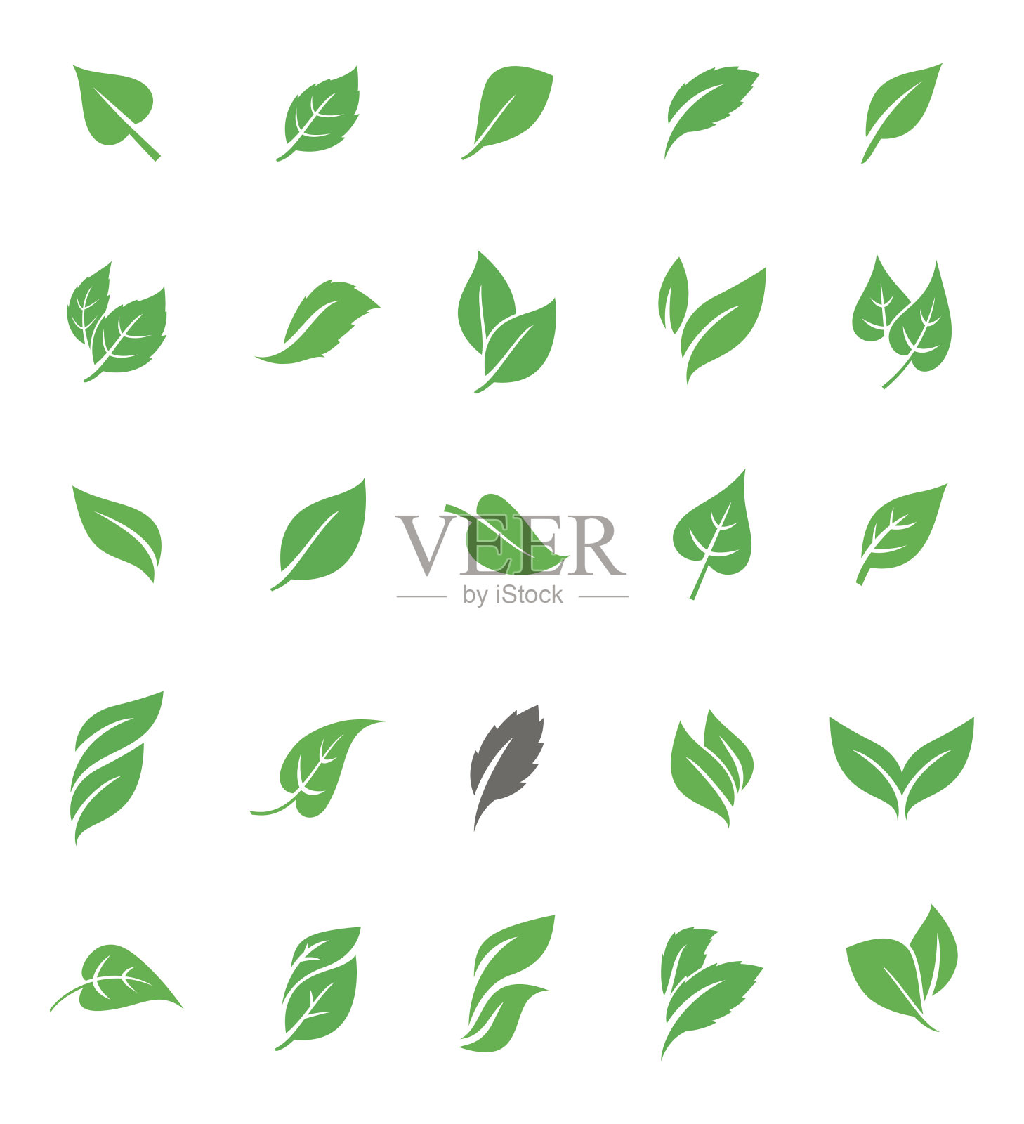一组绿色的叶子。矢量图标孤立在白色背景上。天然有机产品标签，标志和徽章。插画图片素材