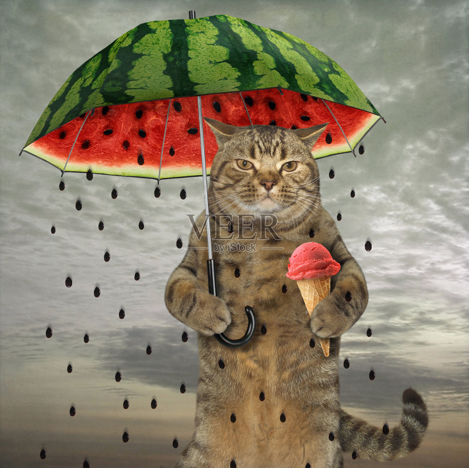 带伞的猫插画图片素材