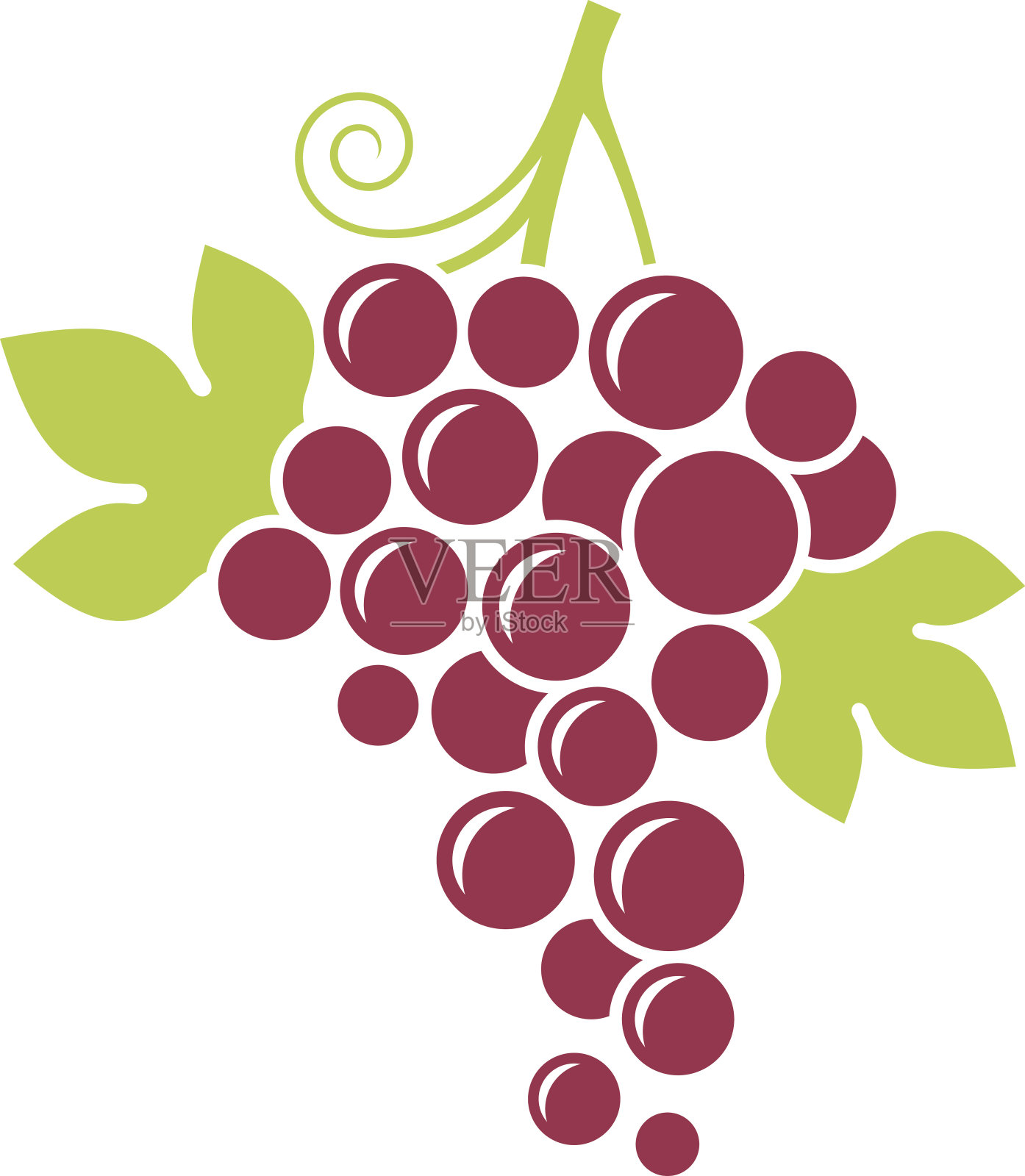 红葡萄。新鲜的水果，白色的叶子设计元素图片