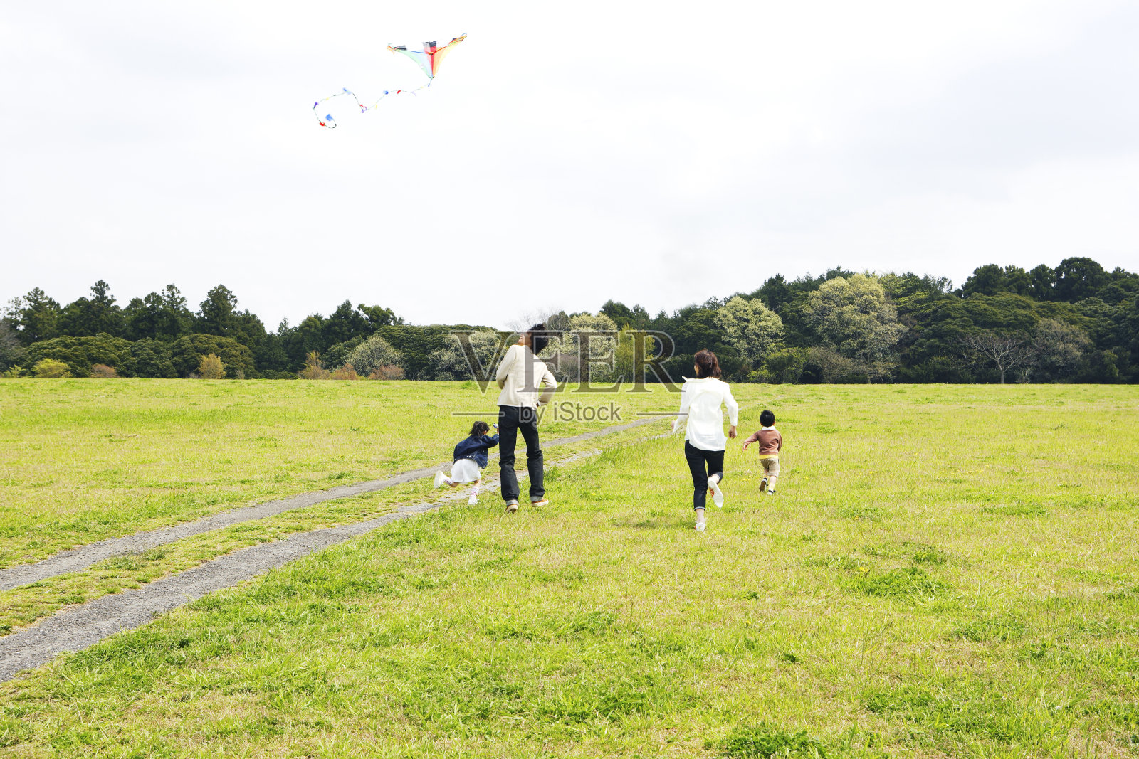 一家人在大草原上放风筝照片摄影图片