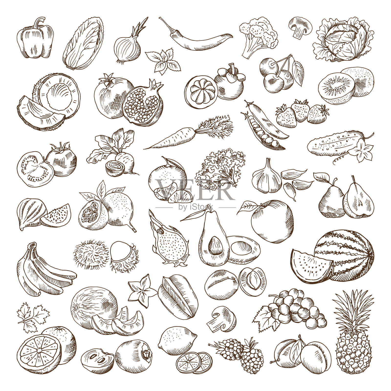 矢量手绘水果和蔬菜的图片。涂鸦素食插图设计元素图片