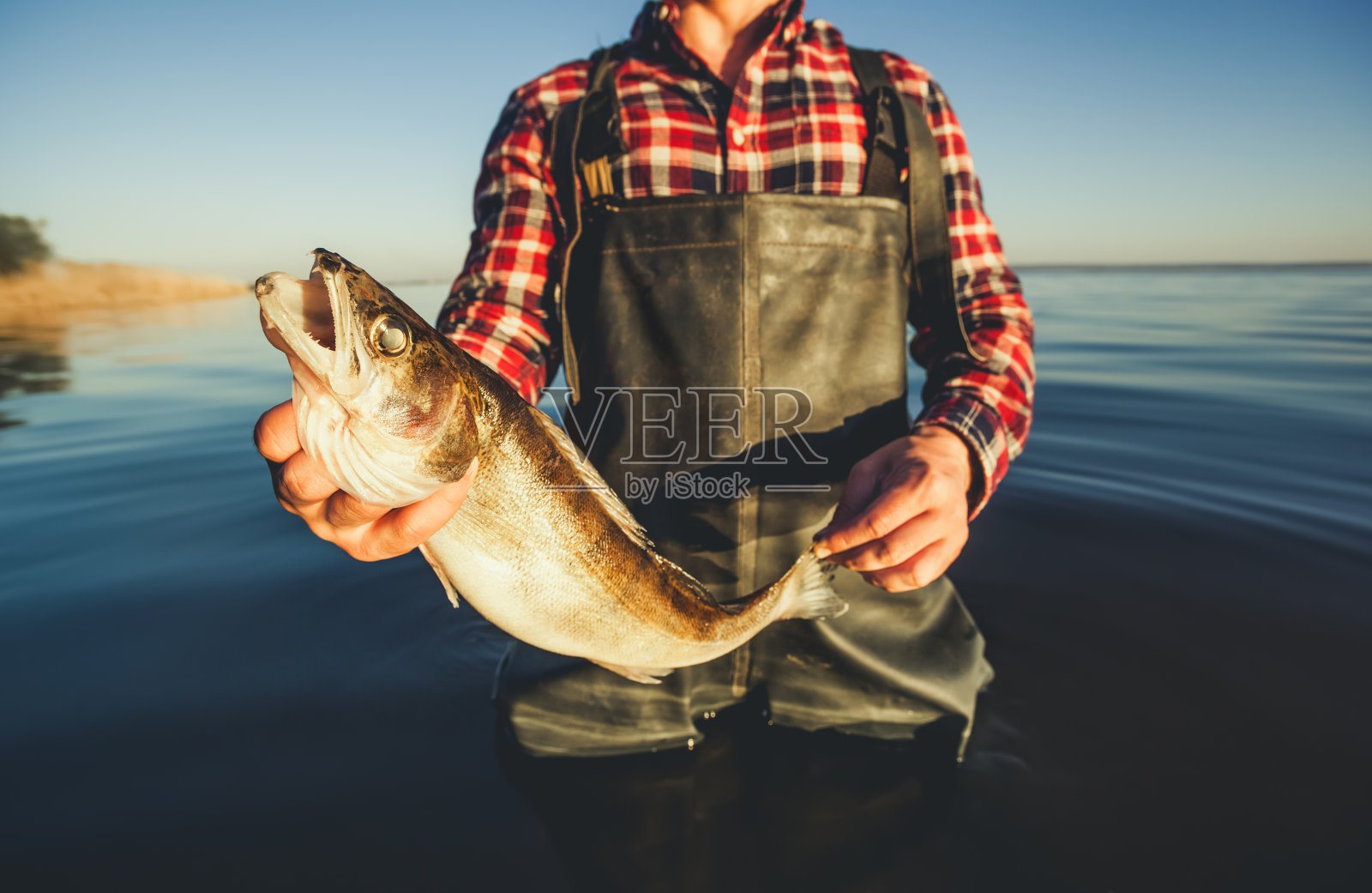 一个男人，一个渔夫站在水里手里拿着旋转的梭子鱼照片摄影图片