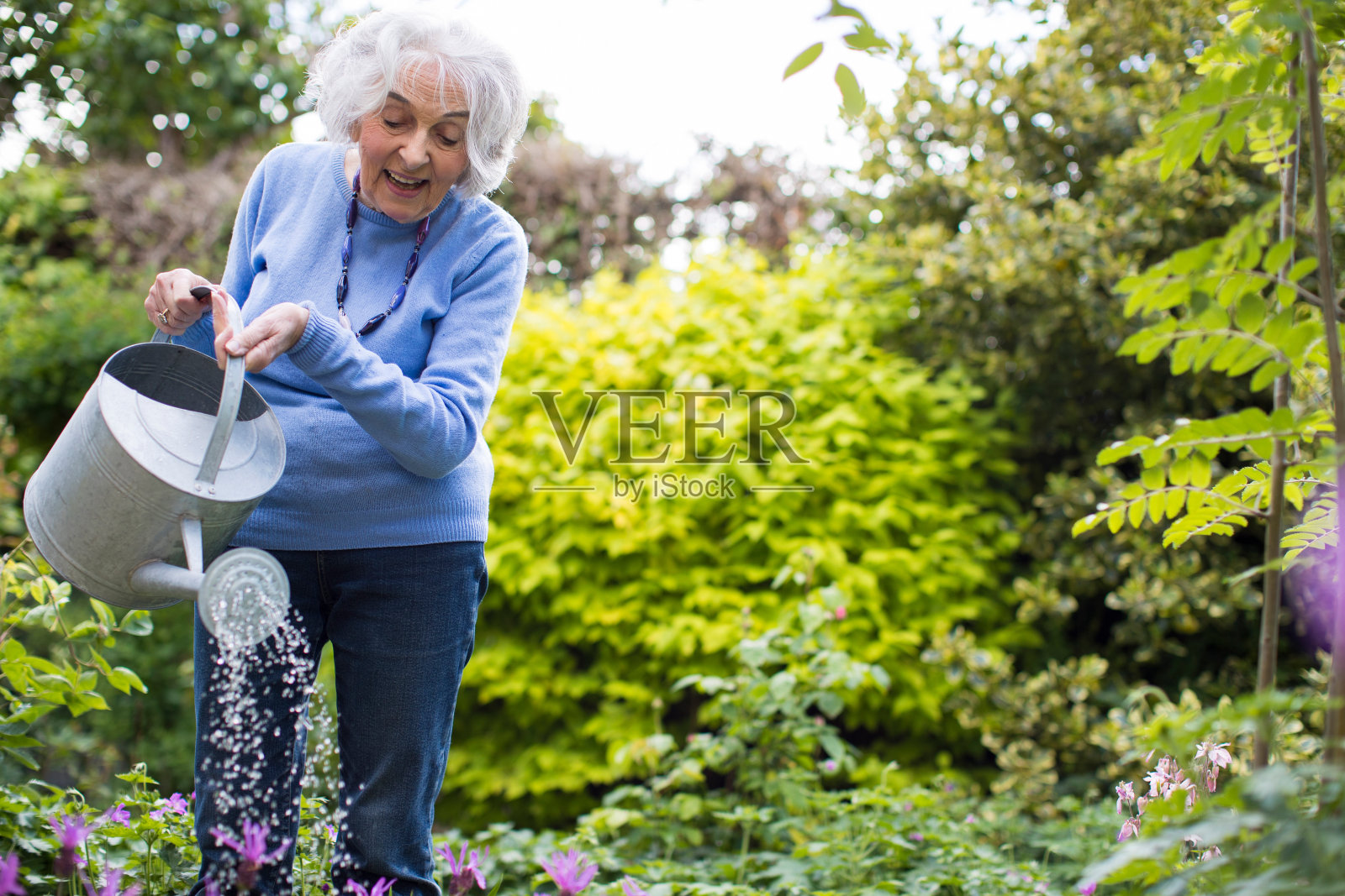 年长妇女在花园里浇花照片摄影图片