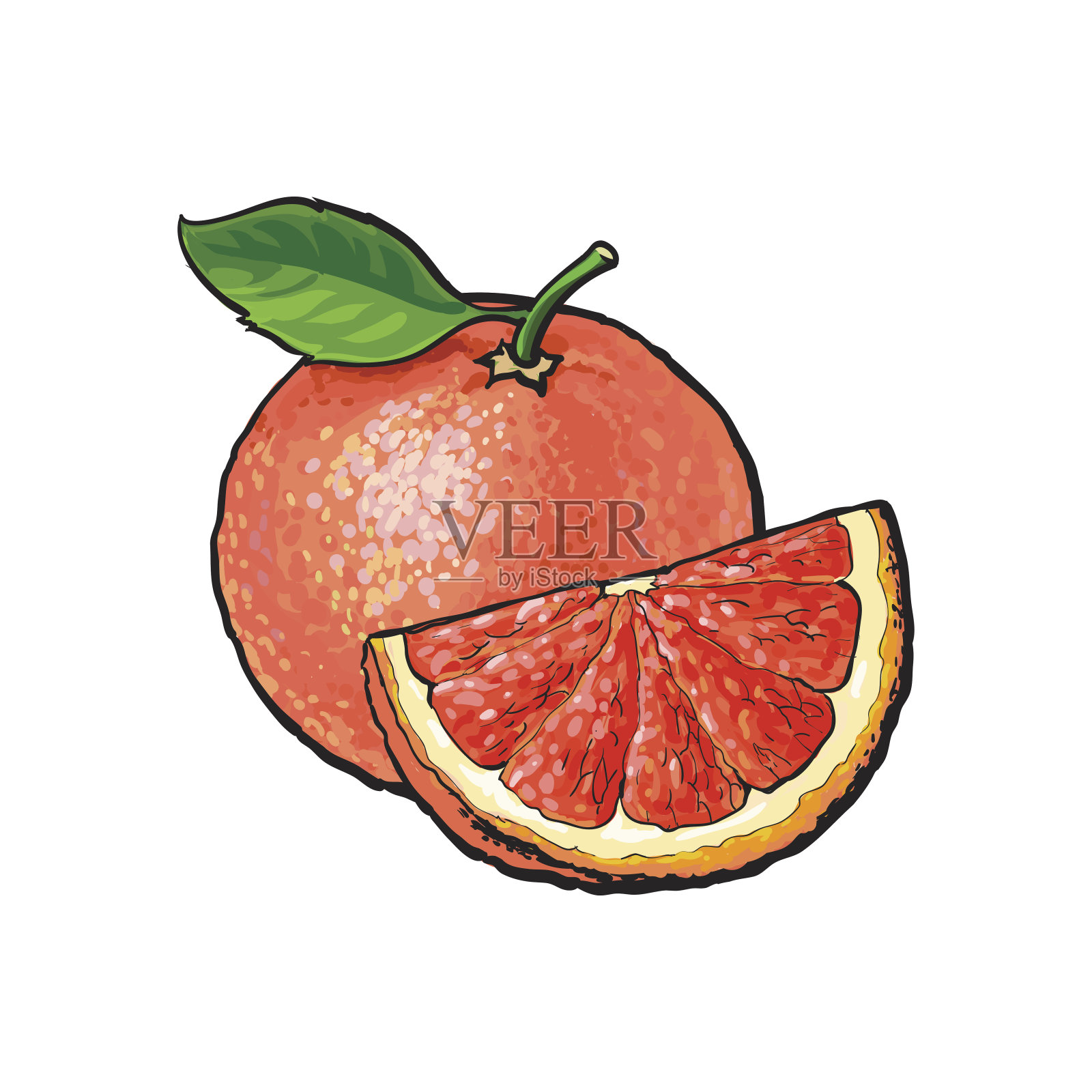 整块和四分之一未剥皮的成熟的粉红色葡萄柚设计元素图片