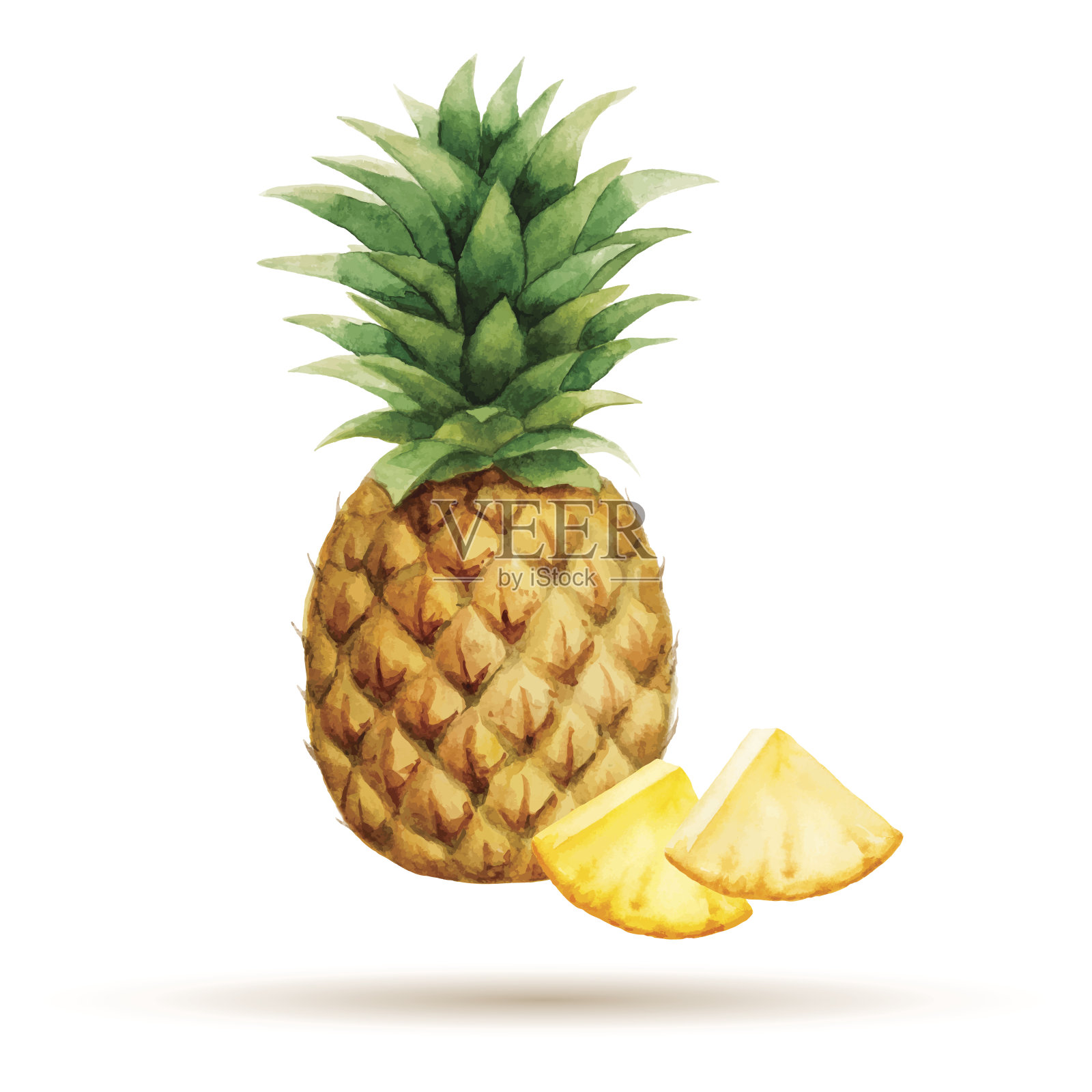 菠萝设计元素图片
