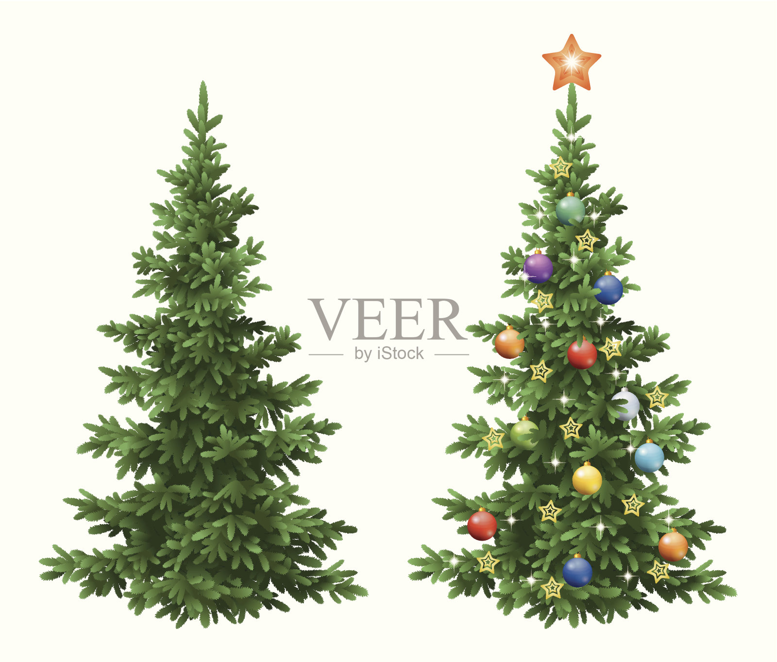 圣诞树上装饰着云杉和冷杉插画图片素材