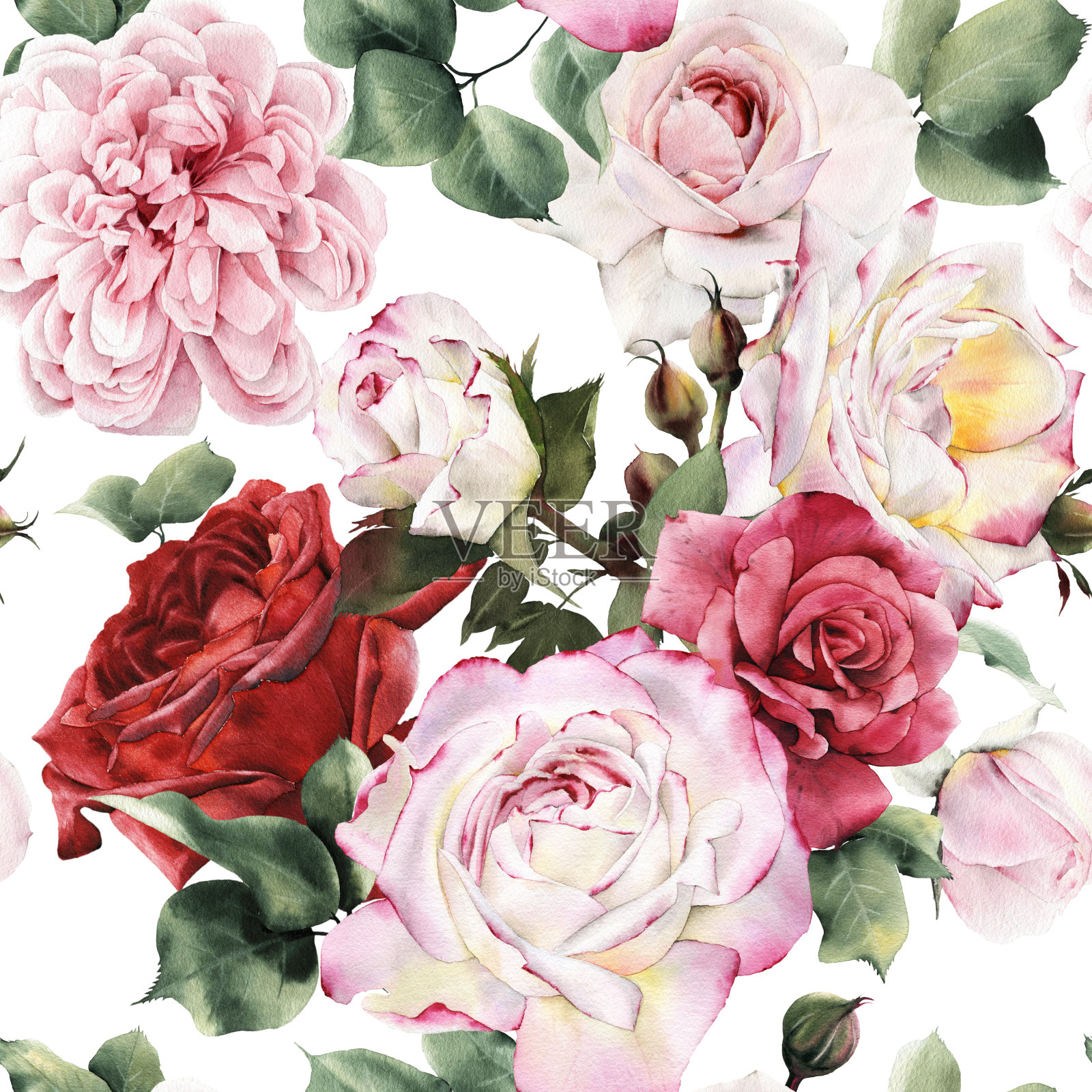 无缝花卉图案与玫瑰，水彩。插画图片素材