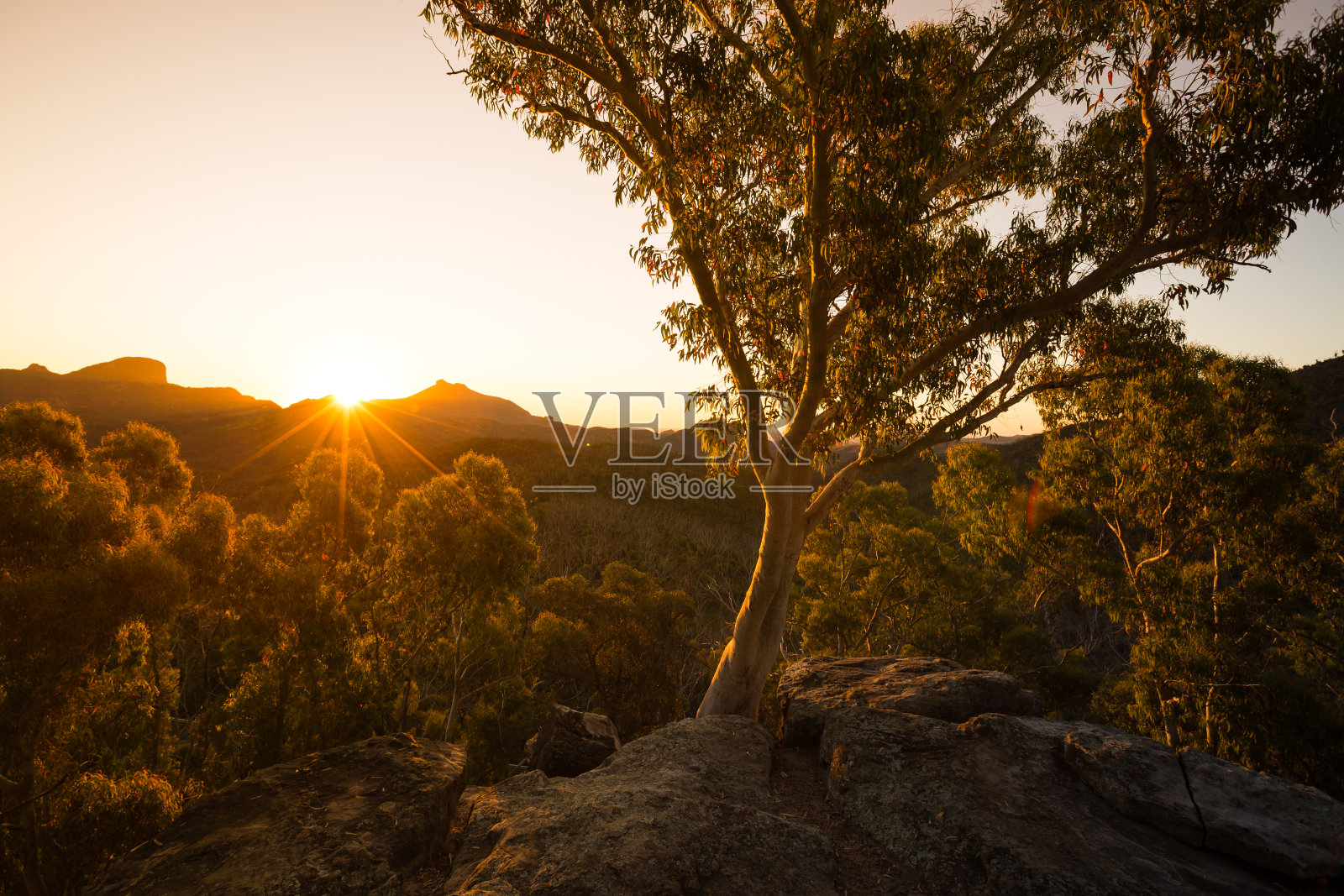 澳大利亚内陆燃烧的橙色乡村日落照片摄影图片