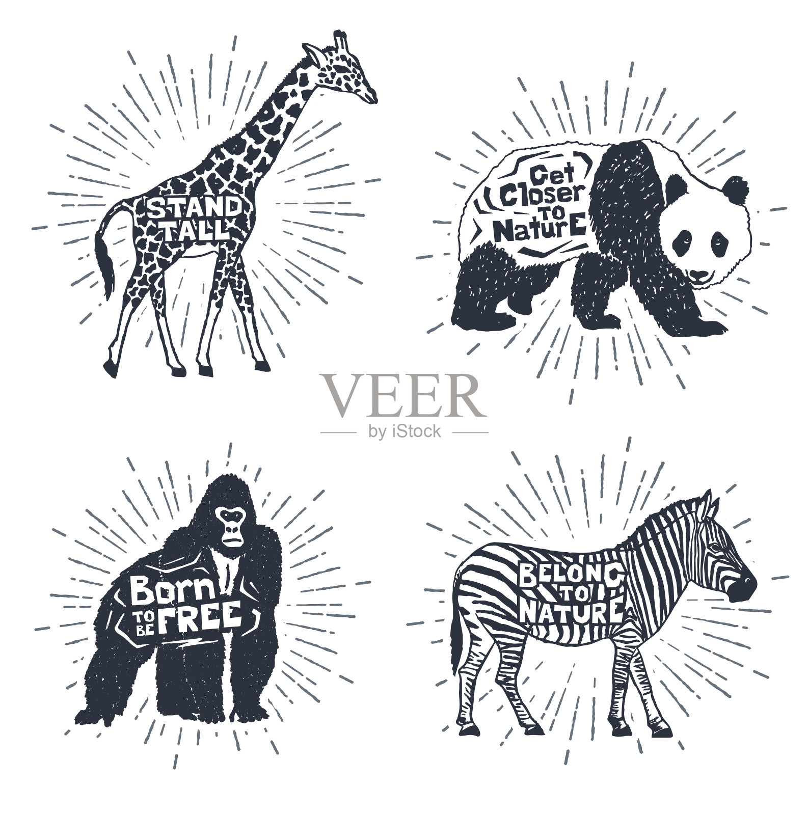 一套手绘标签与动物矢量插图和字母。插画图片素材