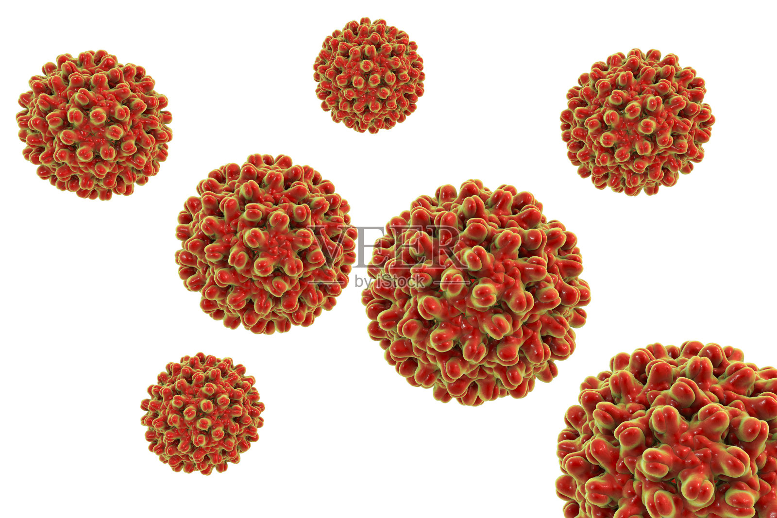 在白色背景上分离的乙型肝炎病毒照片摄影图片