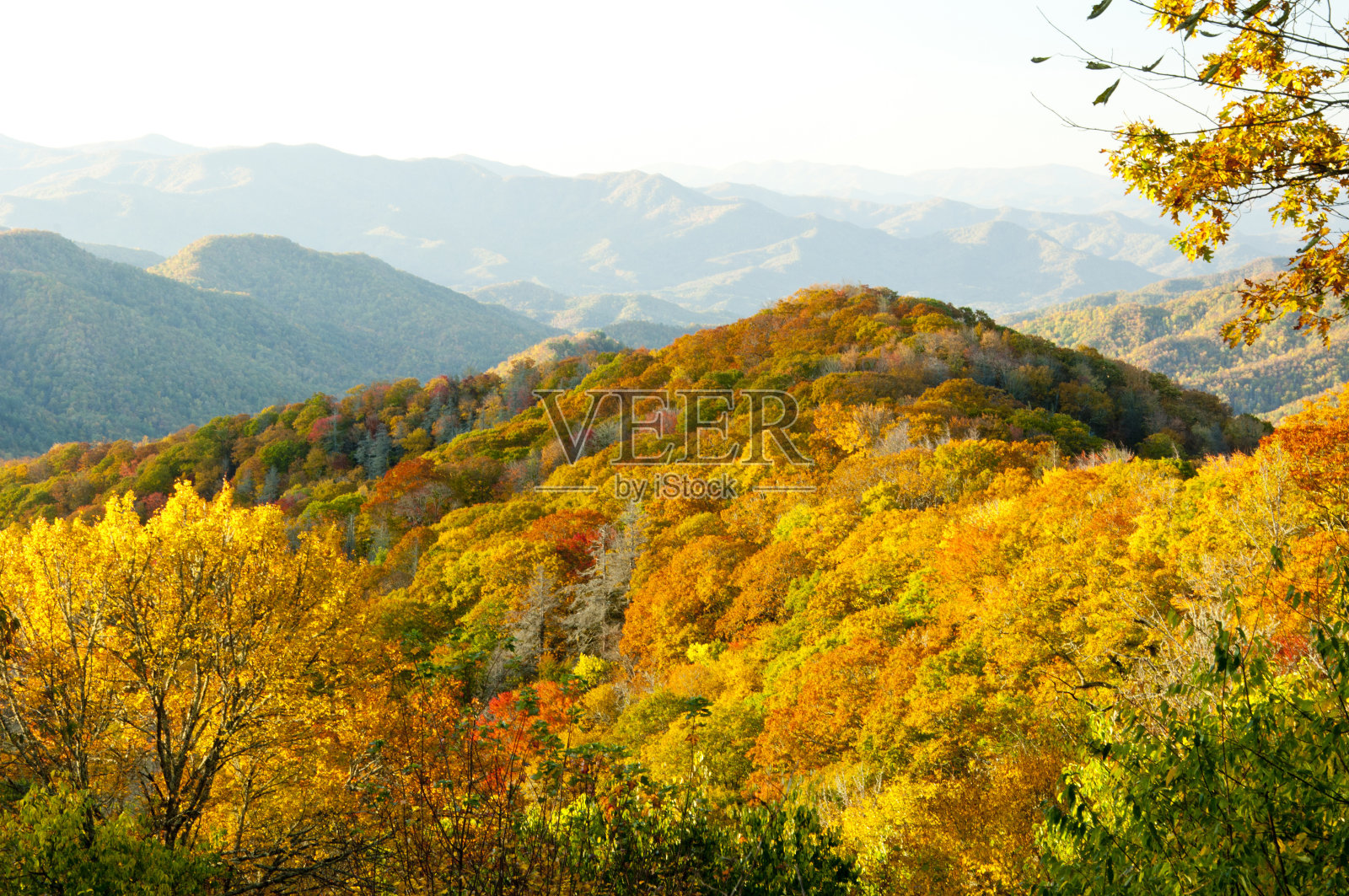 大烟山沐浴在秋天的色彩中照片摄影图片