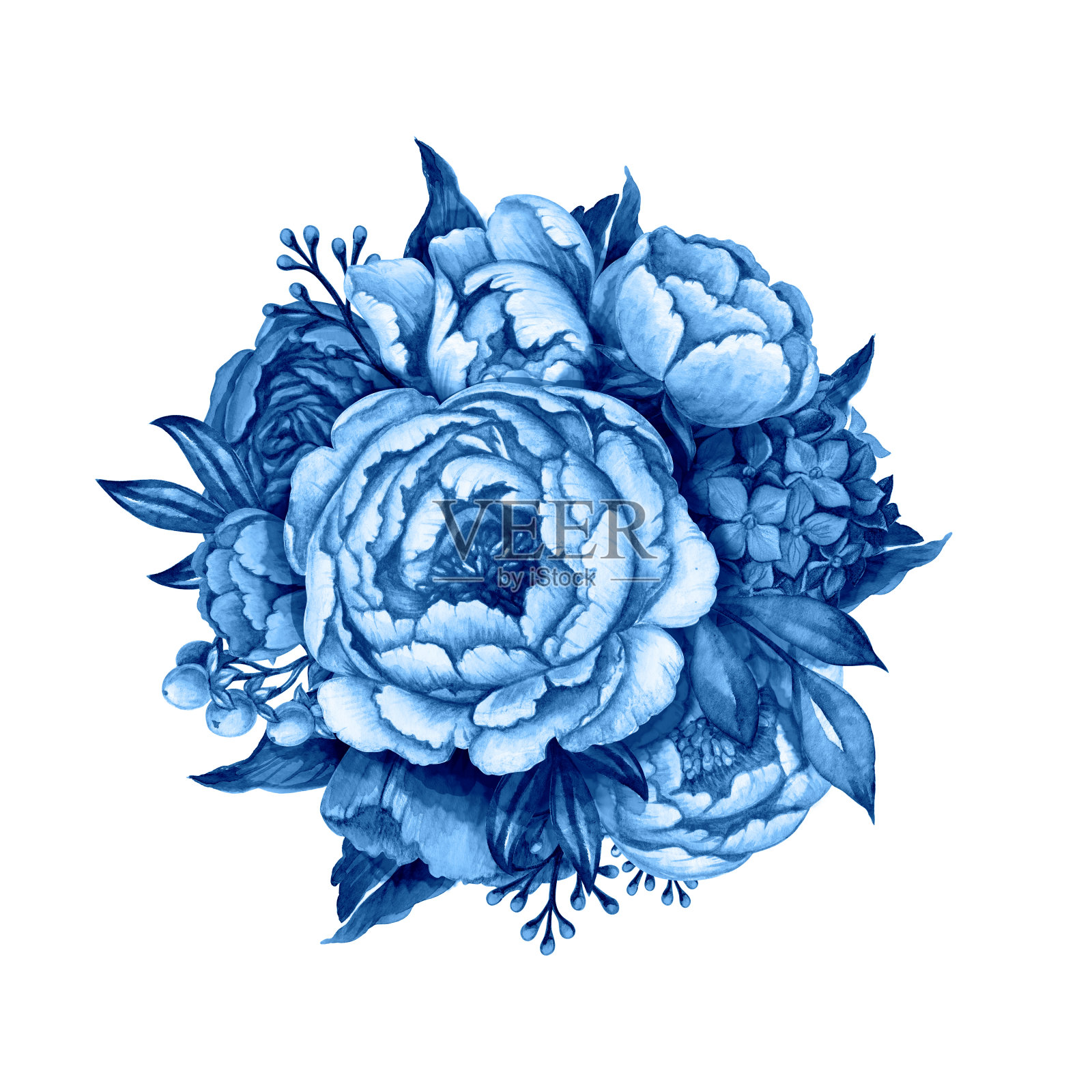水彩标签，标签，牡丹花，叶子，花束元素，蓝色花集，孤立在白色背景插画图片素材