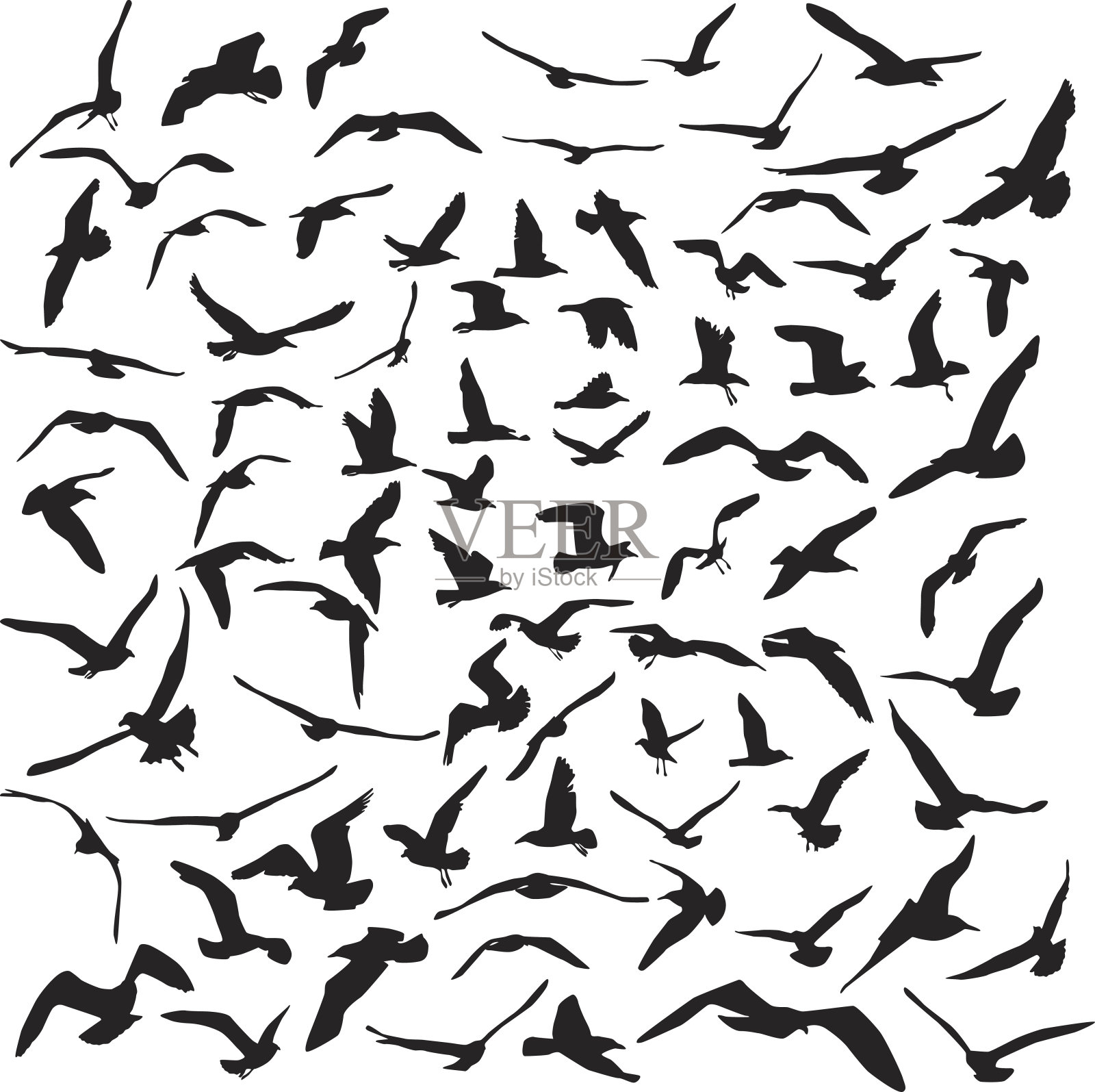 海鸥的黑色轮廓在白色的背景。向量设计元素图片