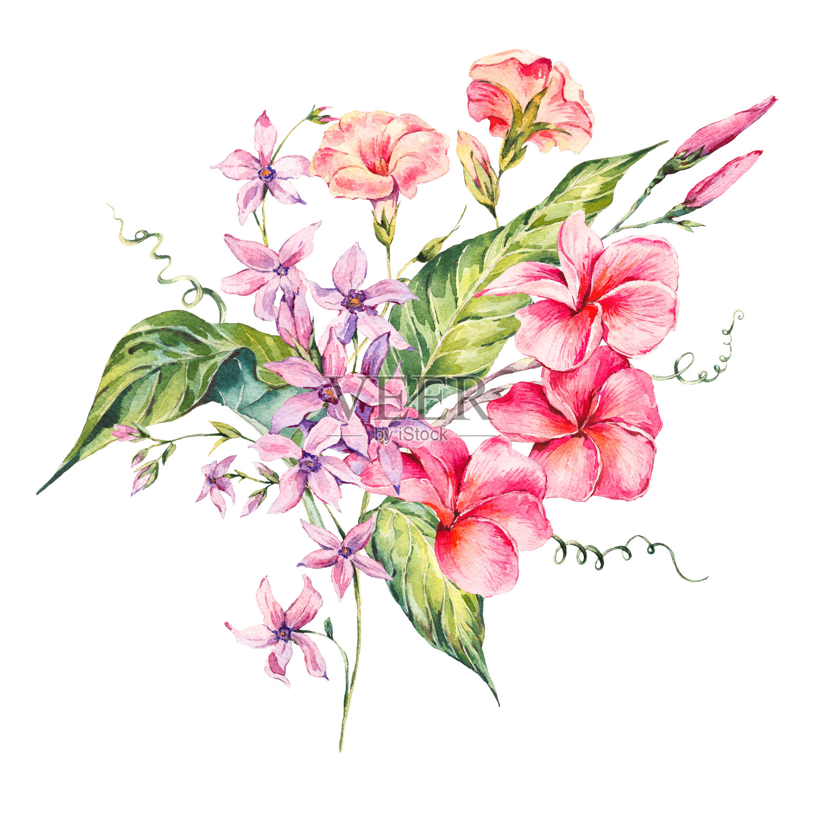 水彩复古热带花卉卡片插画图片素材