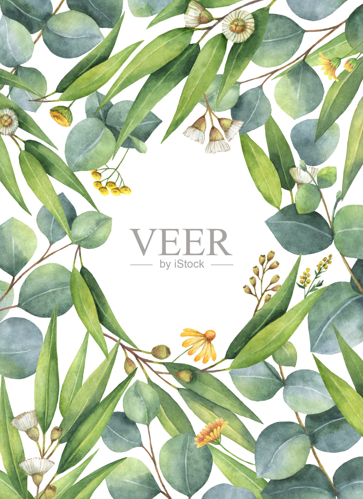 水彩绿色的花卡片与桉树叶和树枝孤立在白色的背景上。插画图片素材