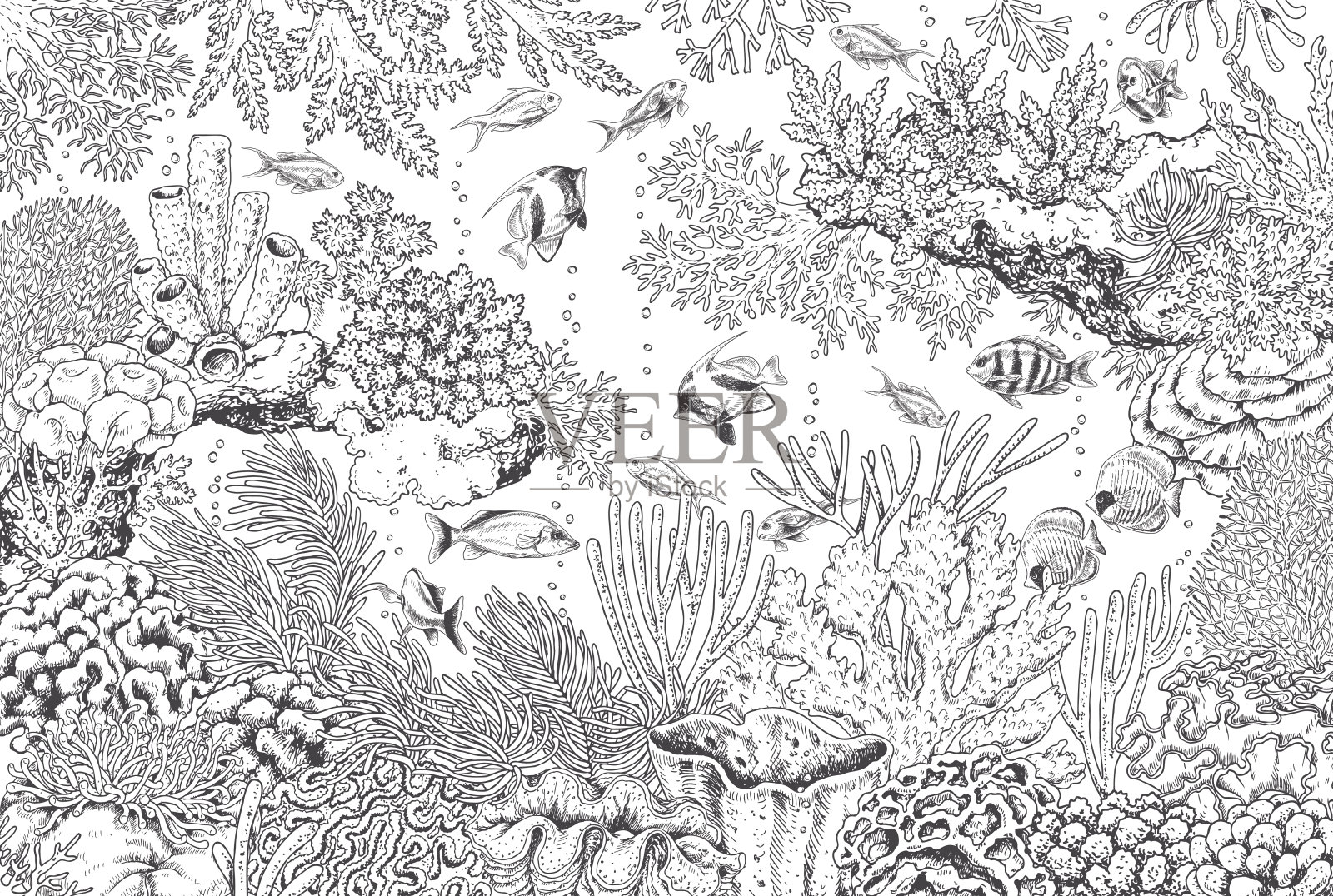 水下景观与珊瑚和鱼类插画图片素材