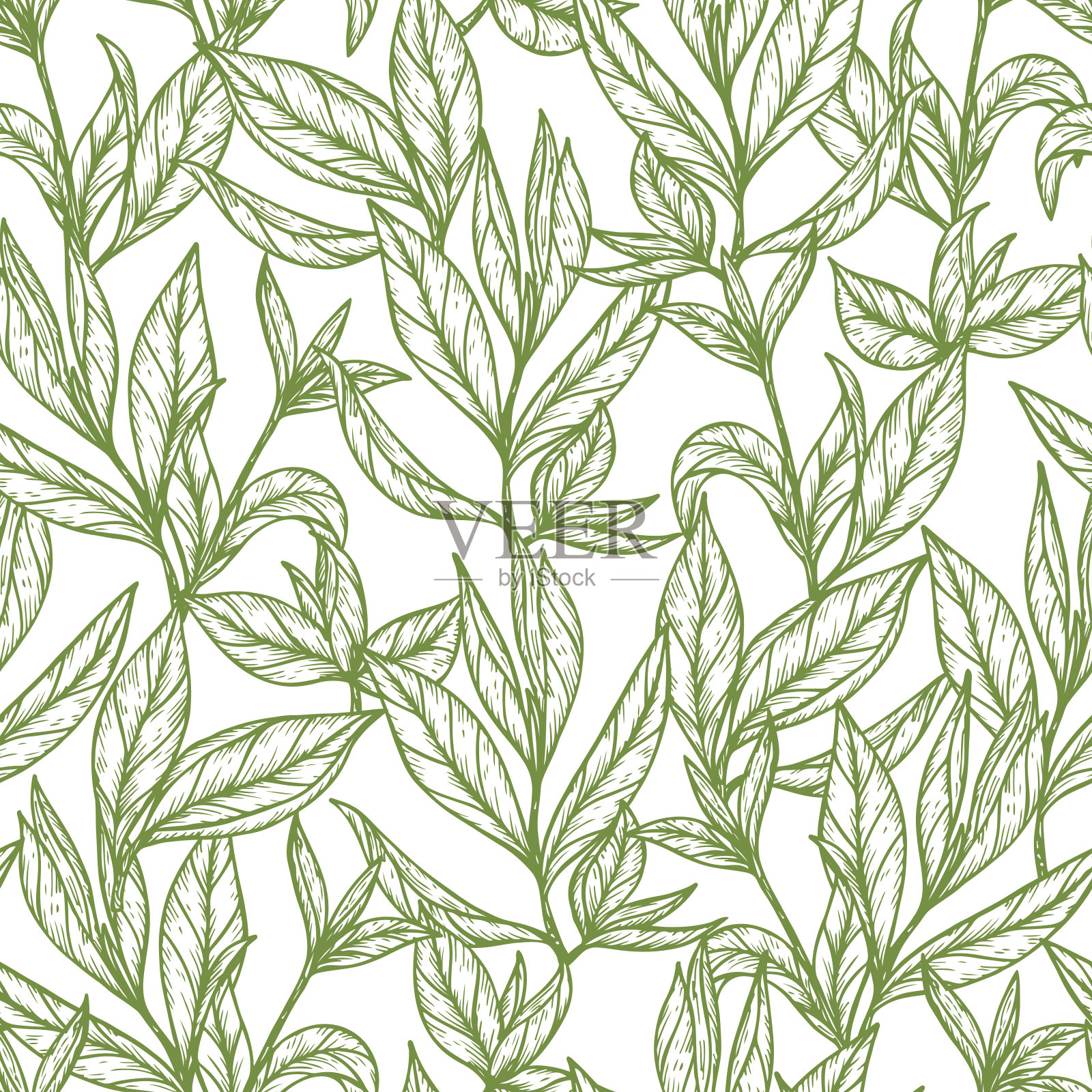 手绘雕刻风格绿茶无缝图案。矢量图插画图片素材