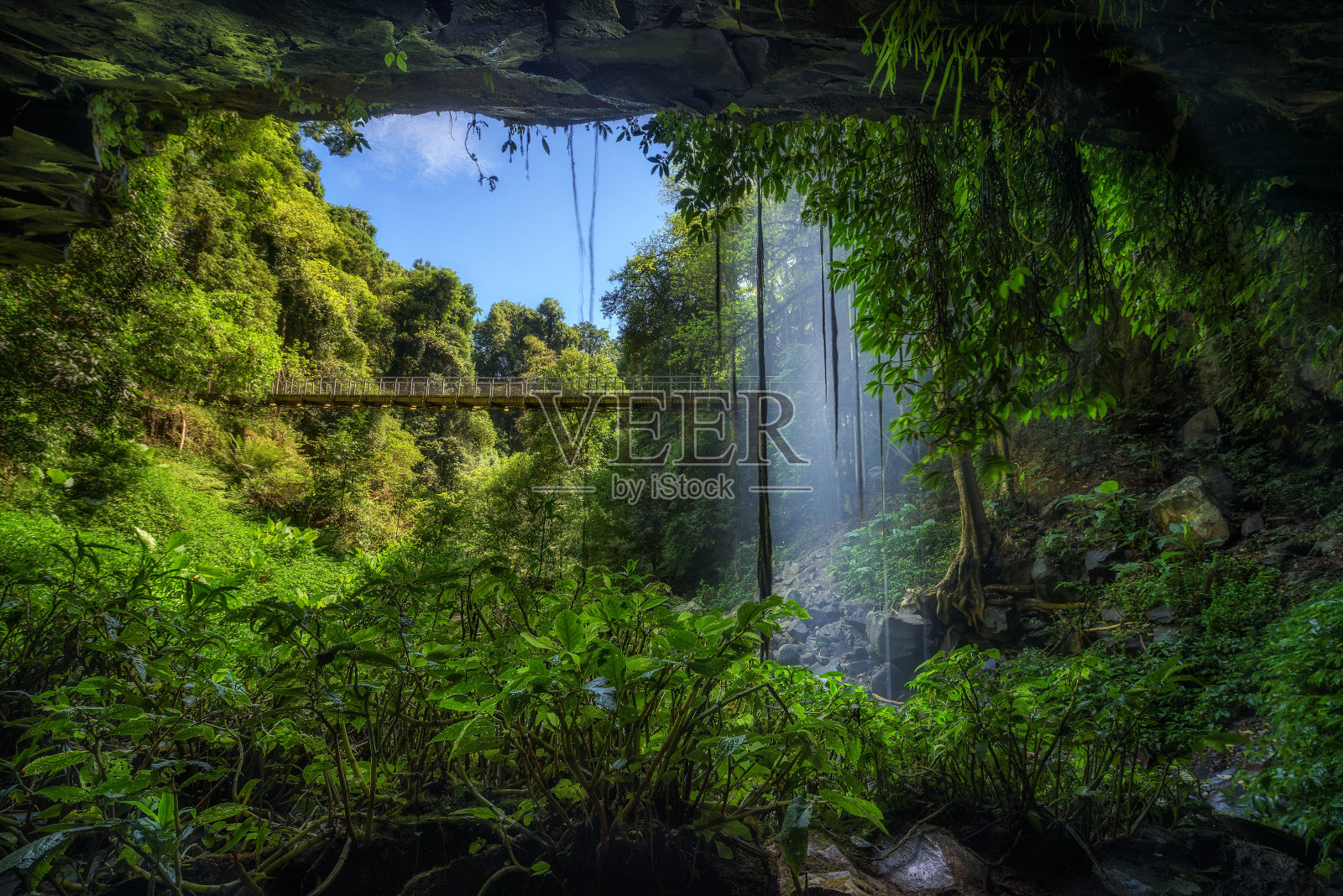 澳大利亚多里戈国家公园热带雨林中的人行桥和水晶瀑布照片摄影图片