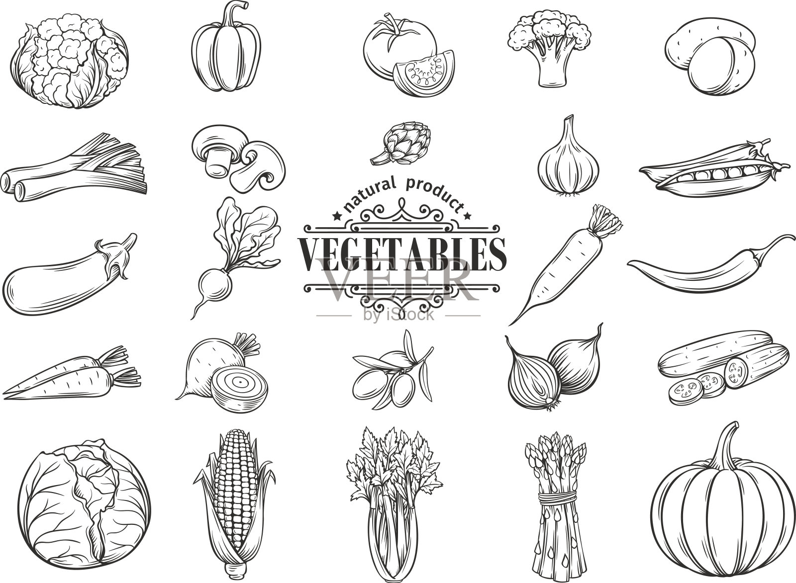 矢量手绘蔬菜图标集。装饰设计元素图片