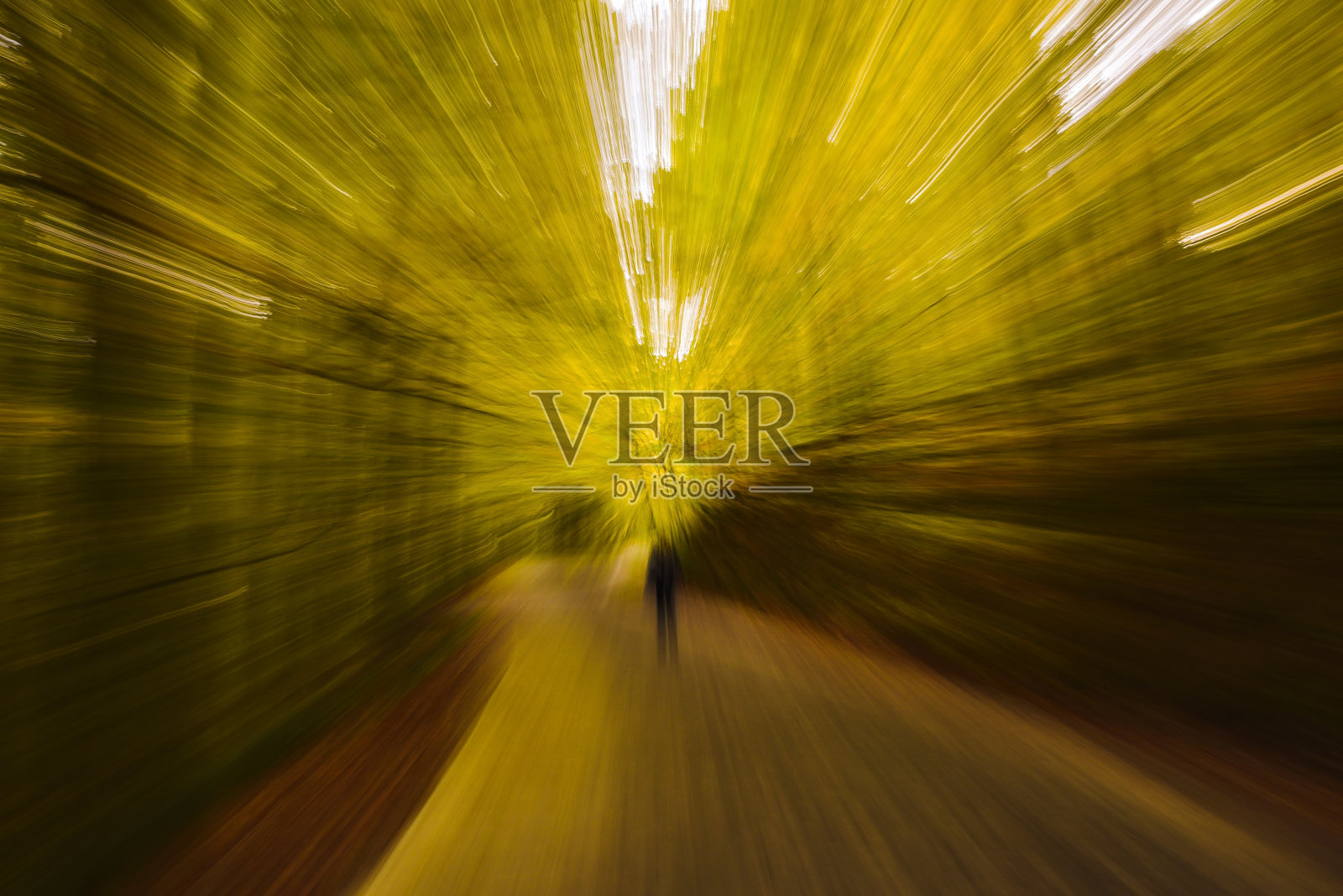 抽象模糊的黄色秋天森林-看起来像时间旅行照片摄影图片