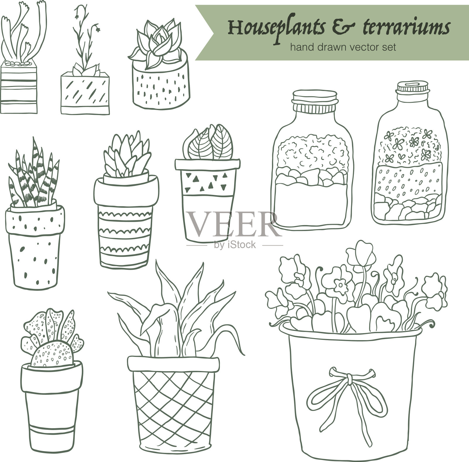 可爱的手绘盆景，室内植物和盆栽肉质植物。插画图片素材