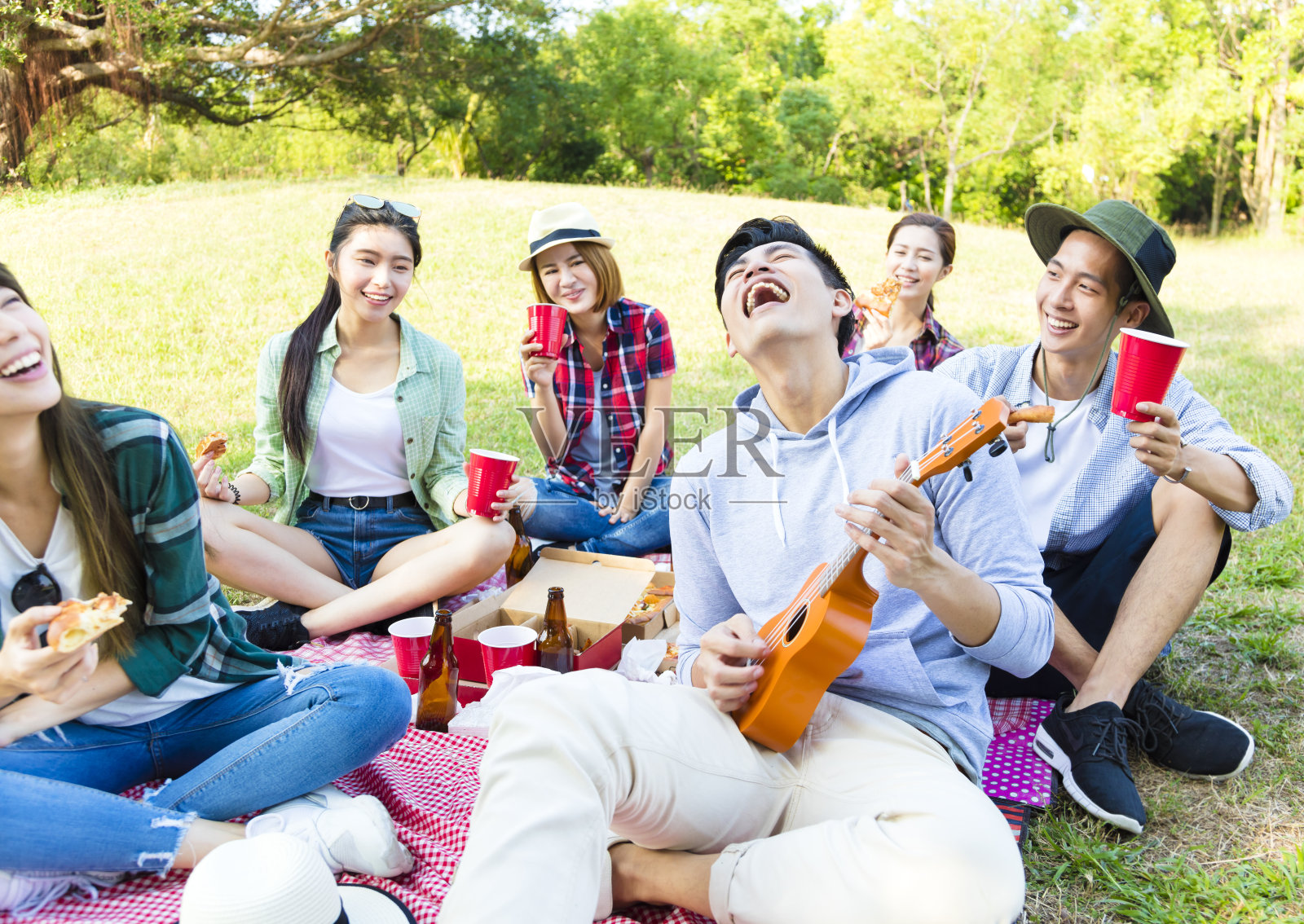 快乐的年轻群享受野餐派对照片摄影图片