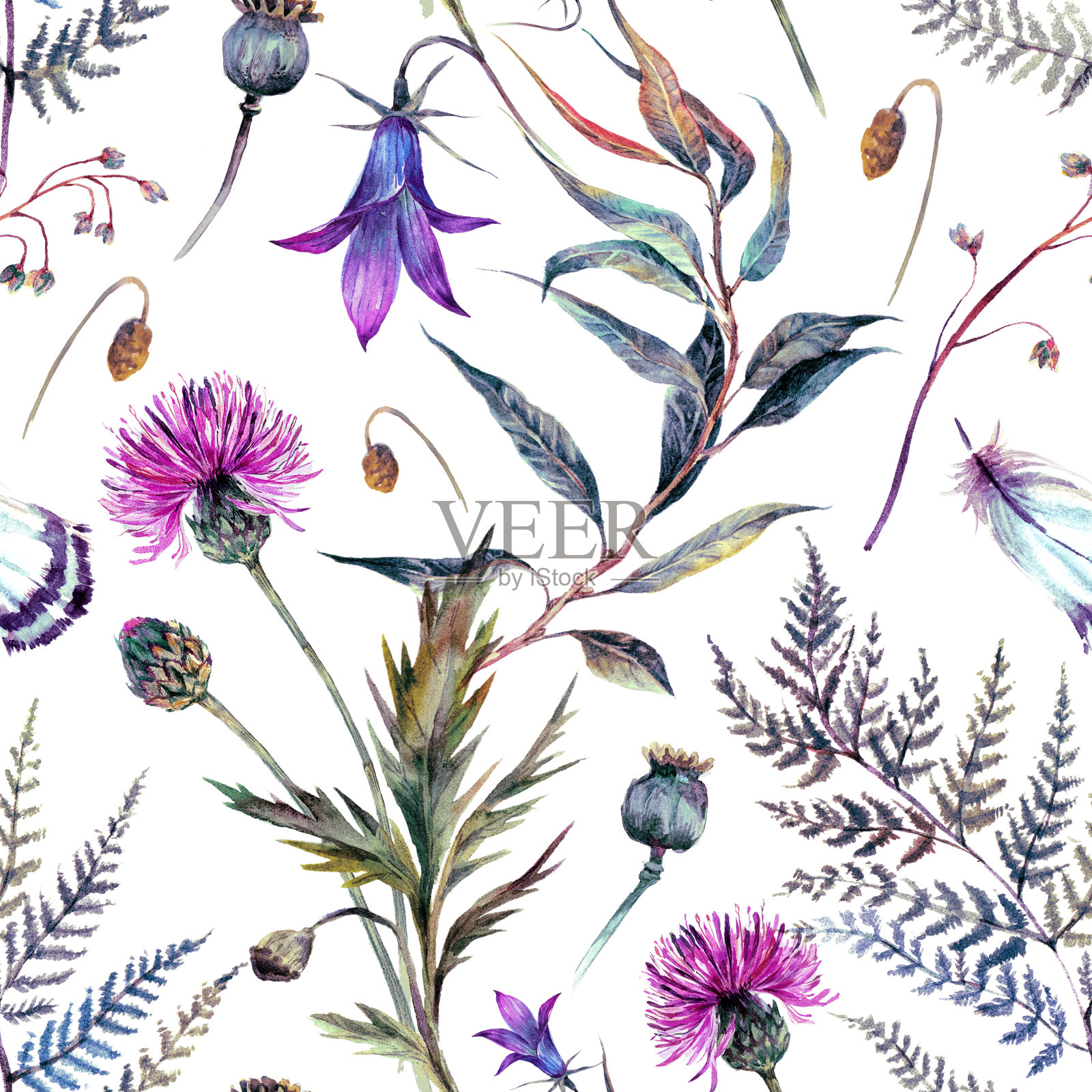 复古水彩野花花卉图案插画图片素材