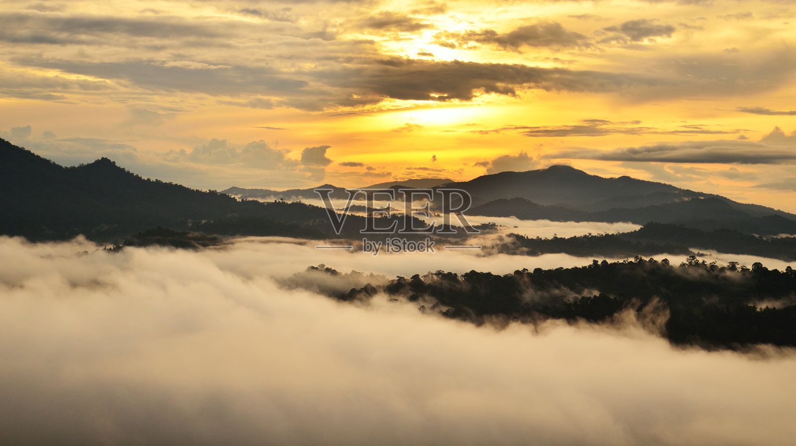 婆罗洲龙舌兰雨林的日出照片摄影图片