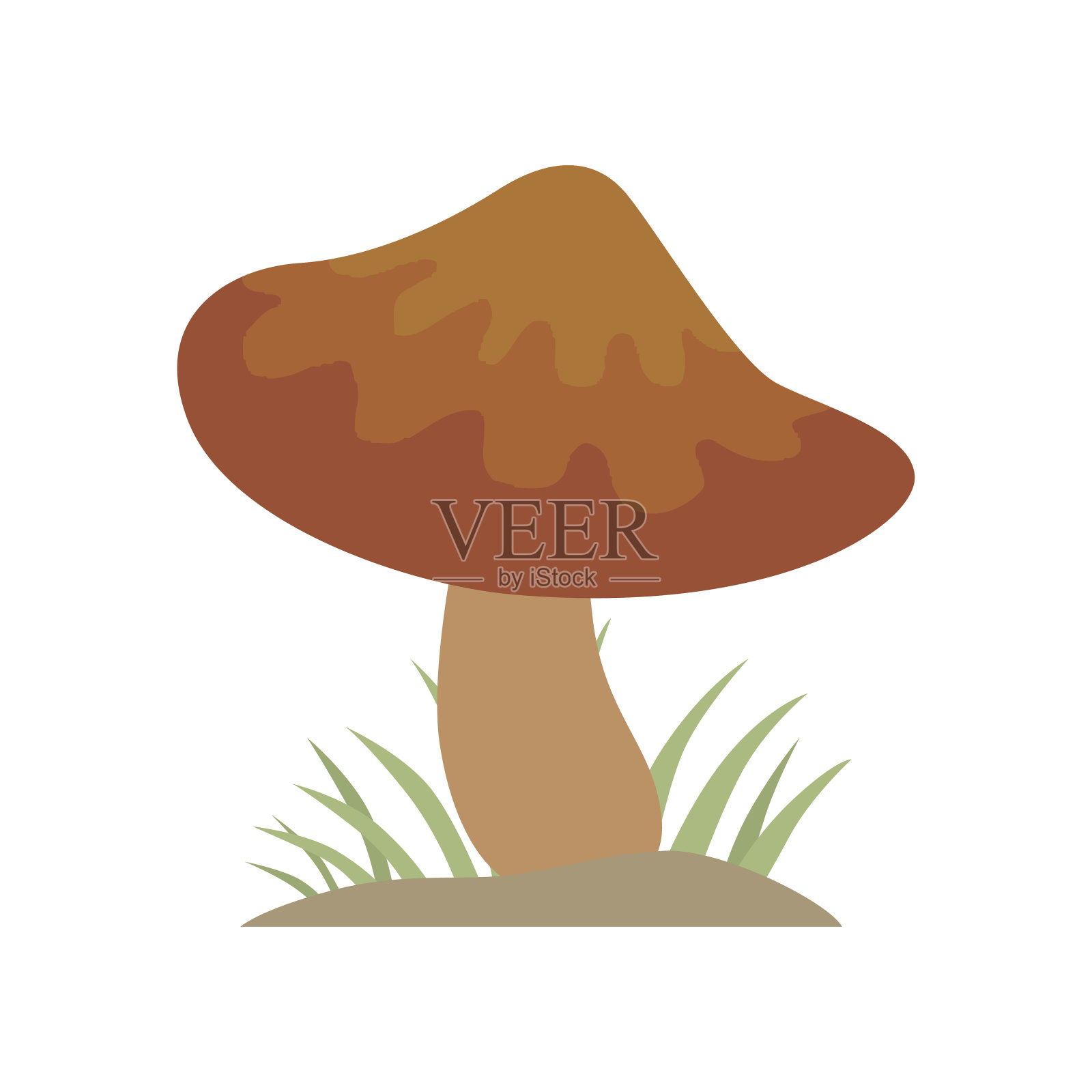 有毒的褐色蘑菇自然食物素食健康的秋天食用和真菌有机蔬菜原料矢量插图插画图片素材