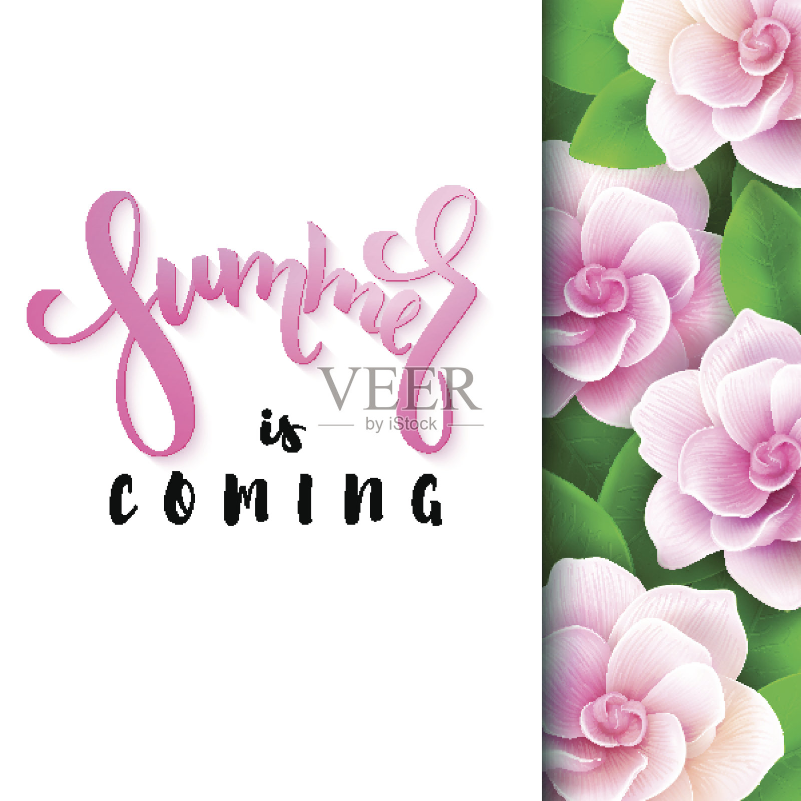 矢量插图的手写海报-夏天来与纸上盛开的栀子花的背景。插画图片素材