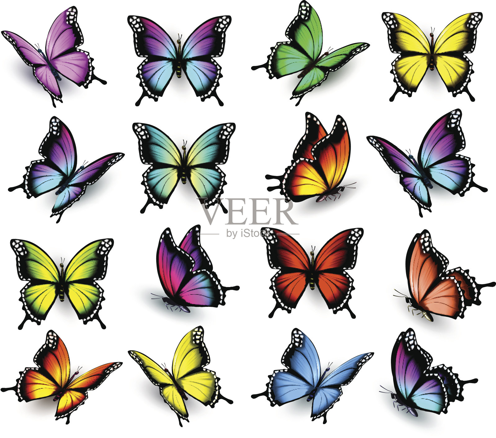 色彩斑斓的蝴蝶。向量。设计元素图片