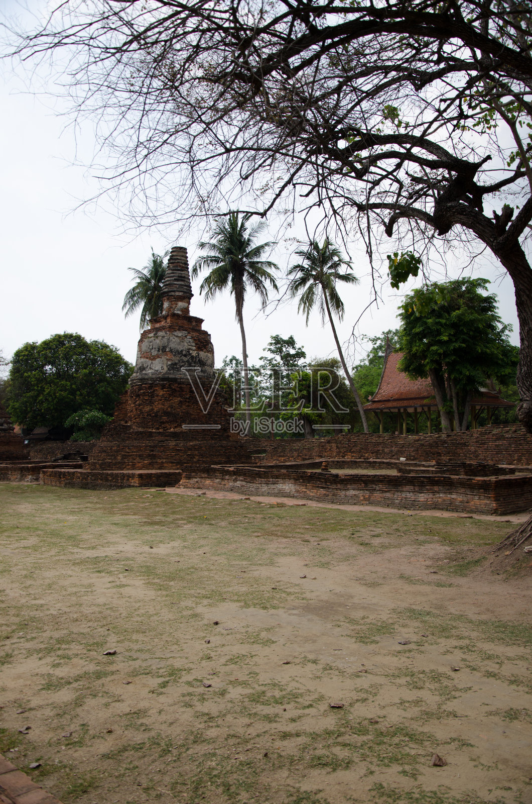 泰国。暹罗古城。建筑和遗址。照片摄影图片