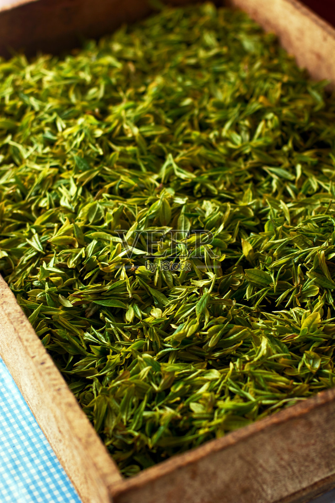 新鲜的绿茶照片摄影图片