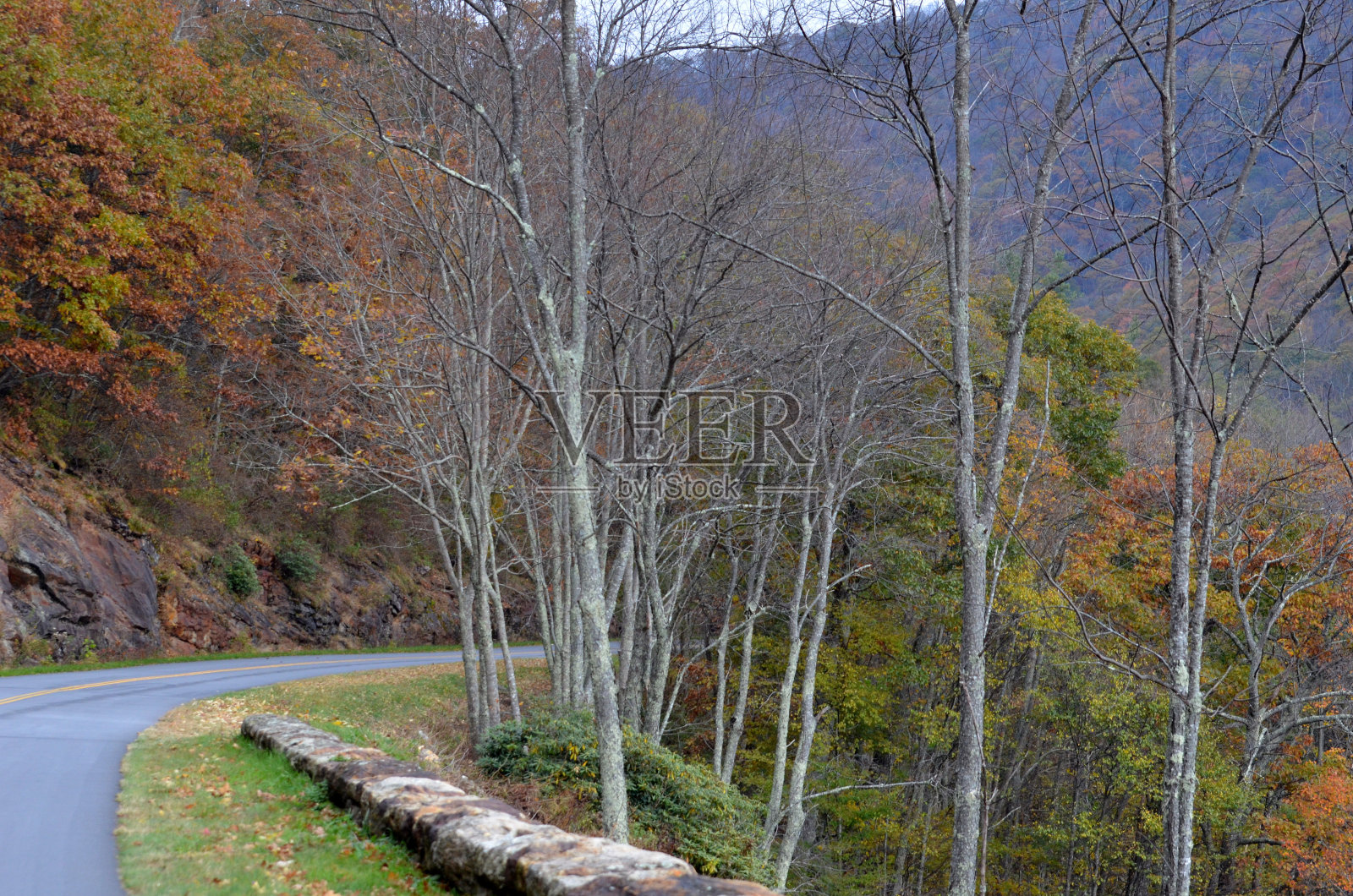秋季驾驶在蓝岭公园路上照片摄影图片