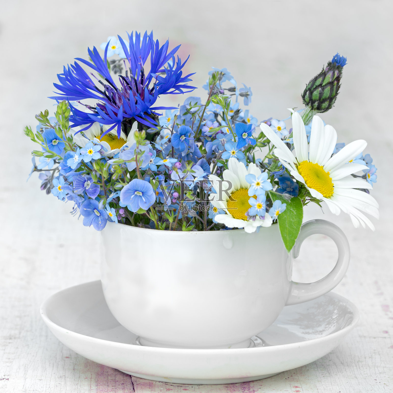 白色咖啡杯碟和一束野花:勿忘我，玉米花和洋甘菊，方形构图。在杯子上复制文本空间。照片摄影图片
