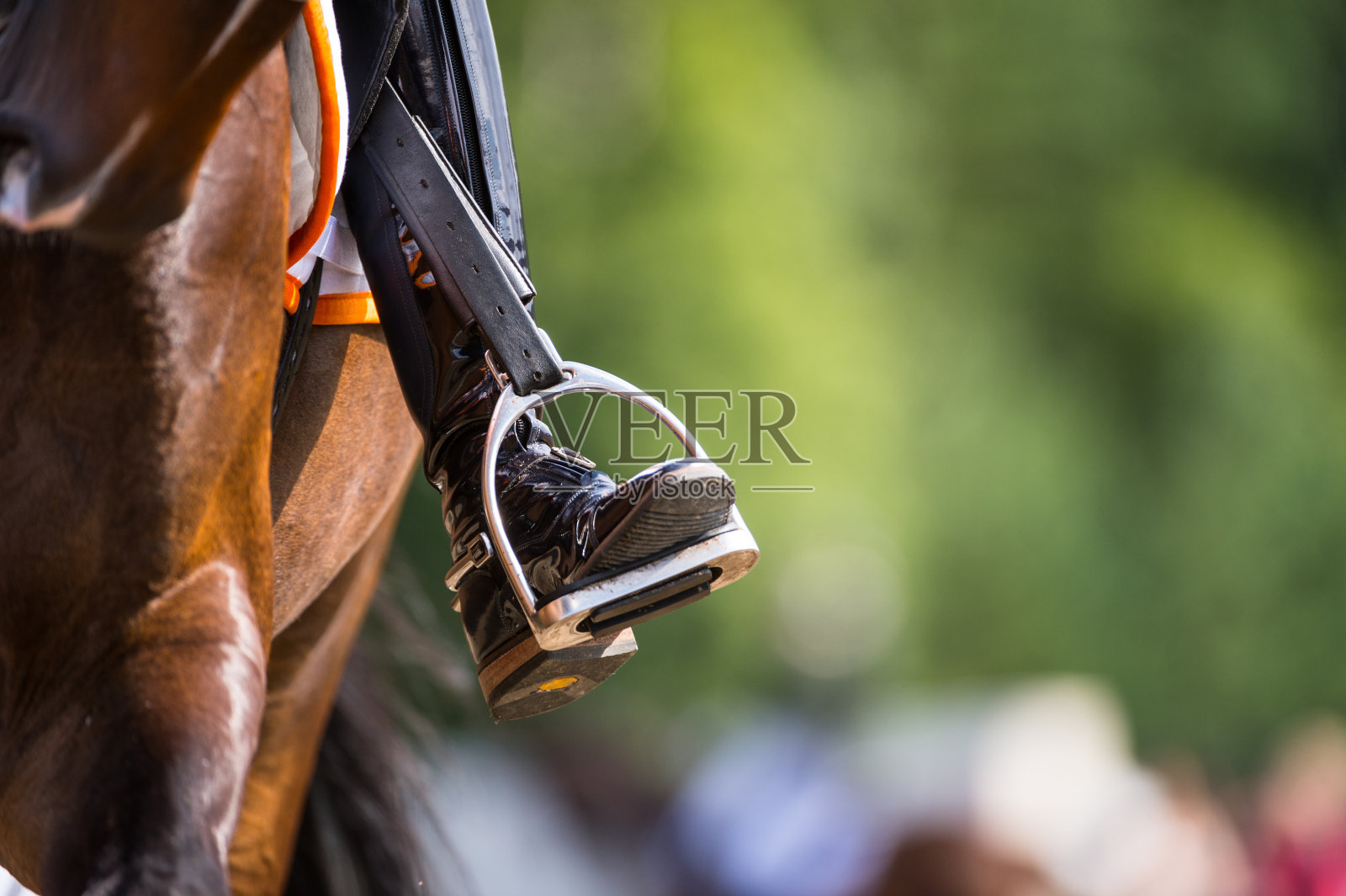 盛装舞步马的侧面，马靴和马镫照片摄影图片