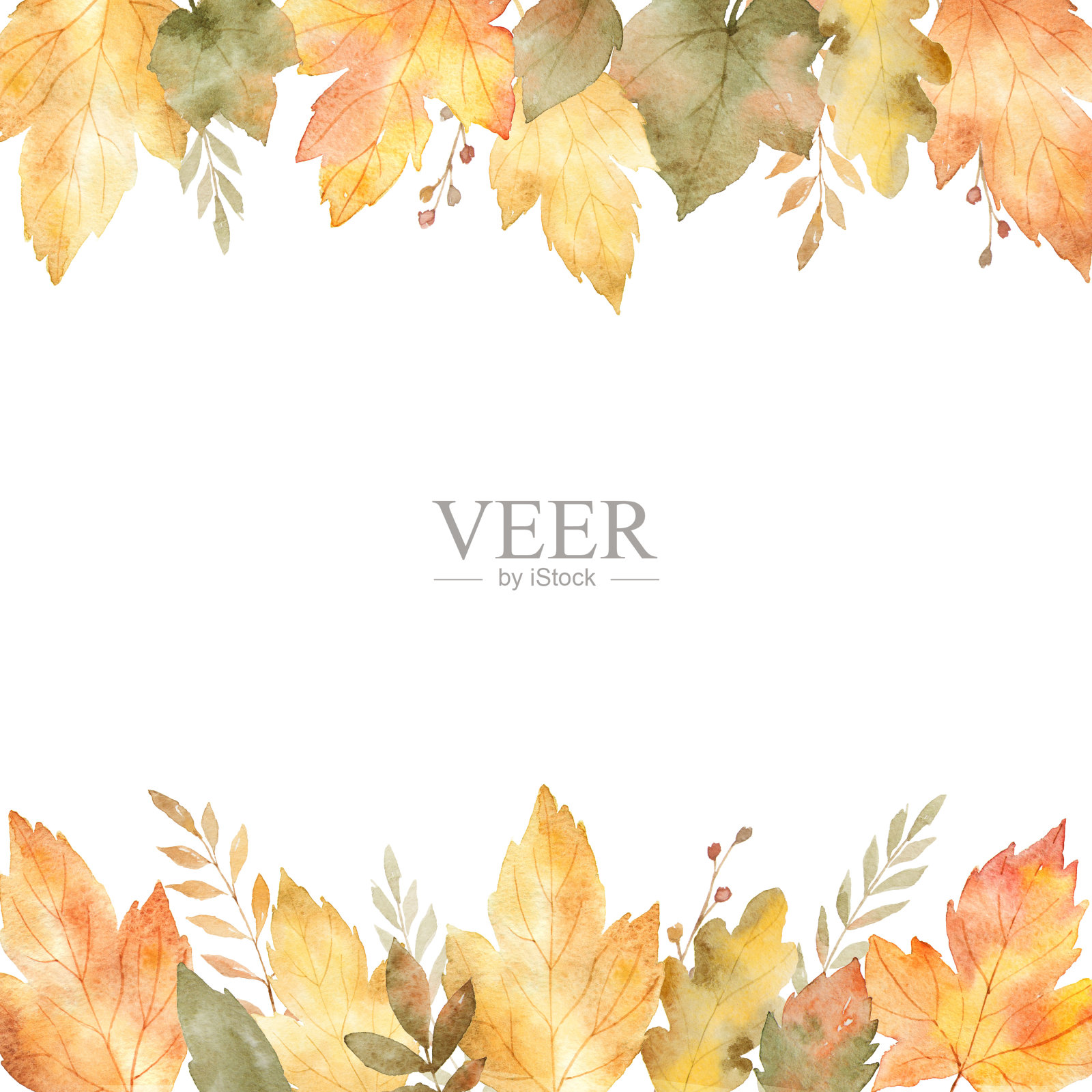 水彩旗帜的叶子和树枝孤立在白色的背景。插画图片素材
