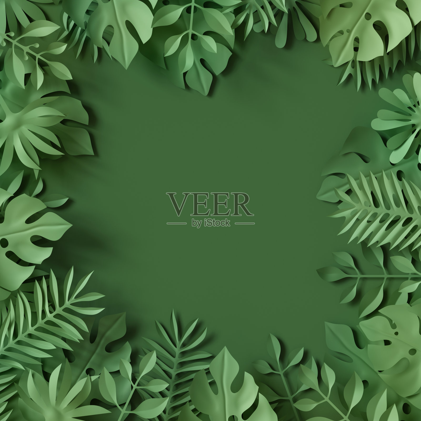 3d渲染，热带树叶，绿色场景背景，丛林，框架插画图片素材